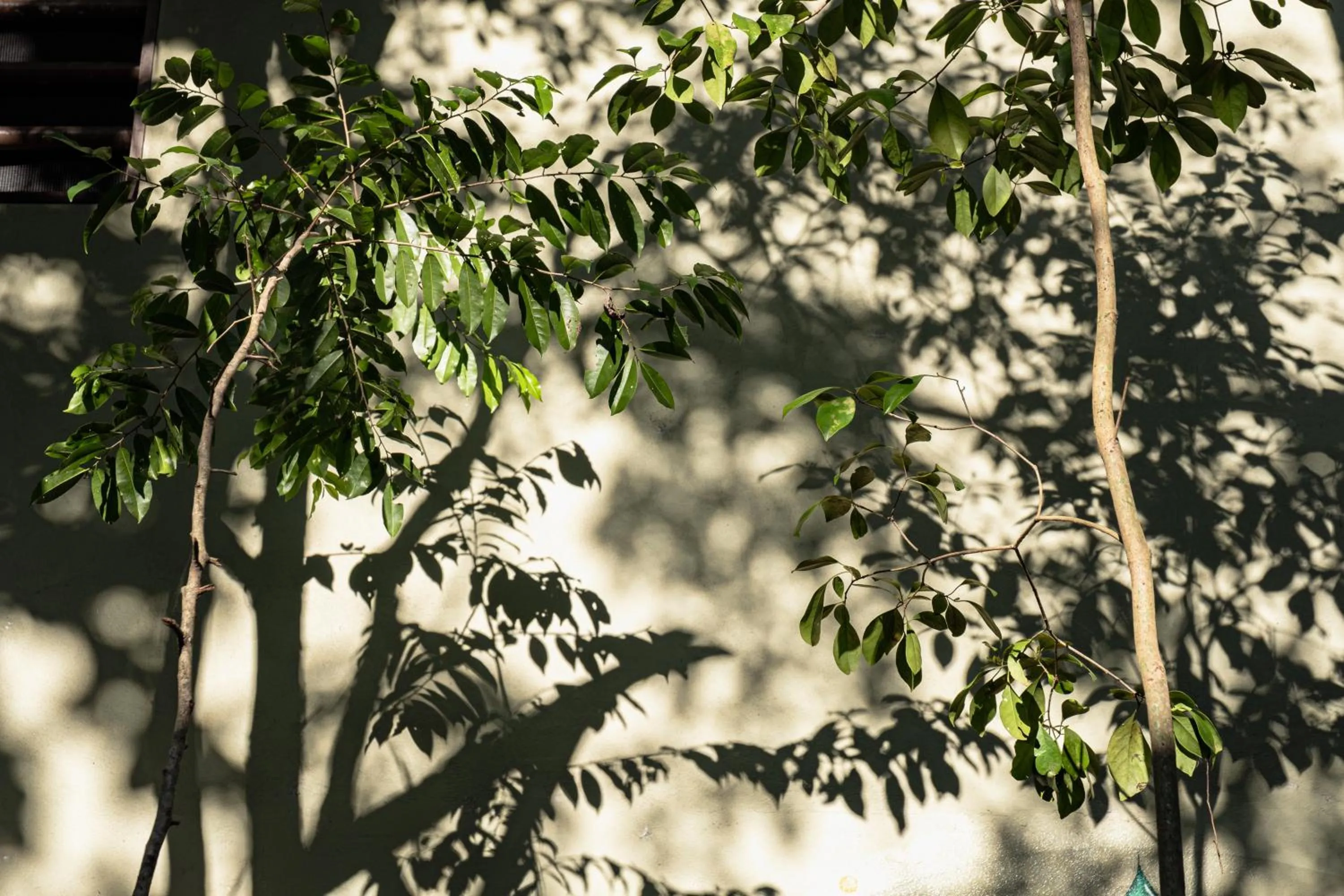 Decorative detail in Hokhmah Heart Hotel