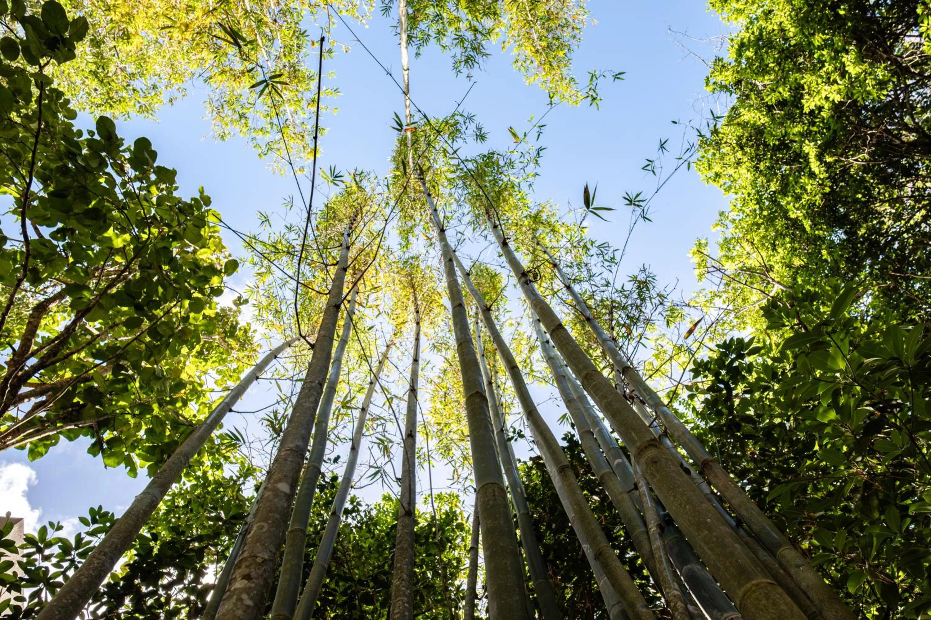 Natural landscape in Hokhmah Heart Hotel