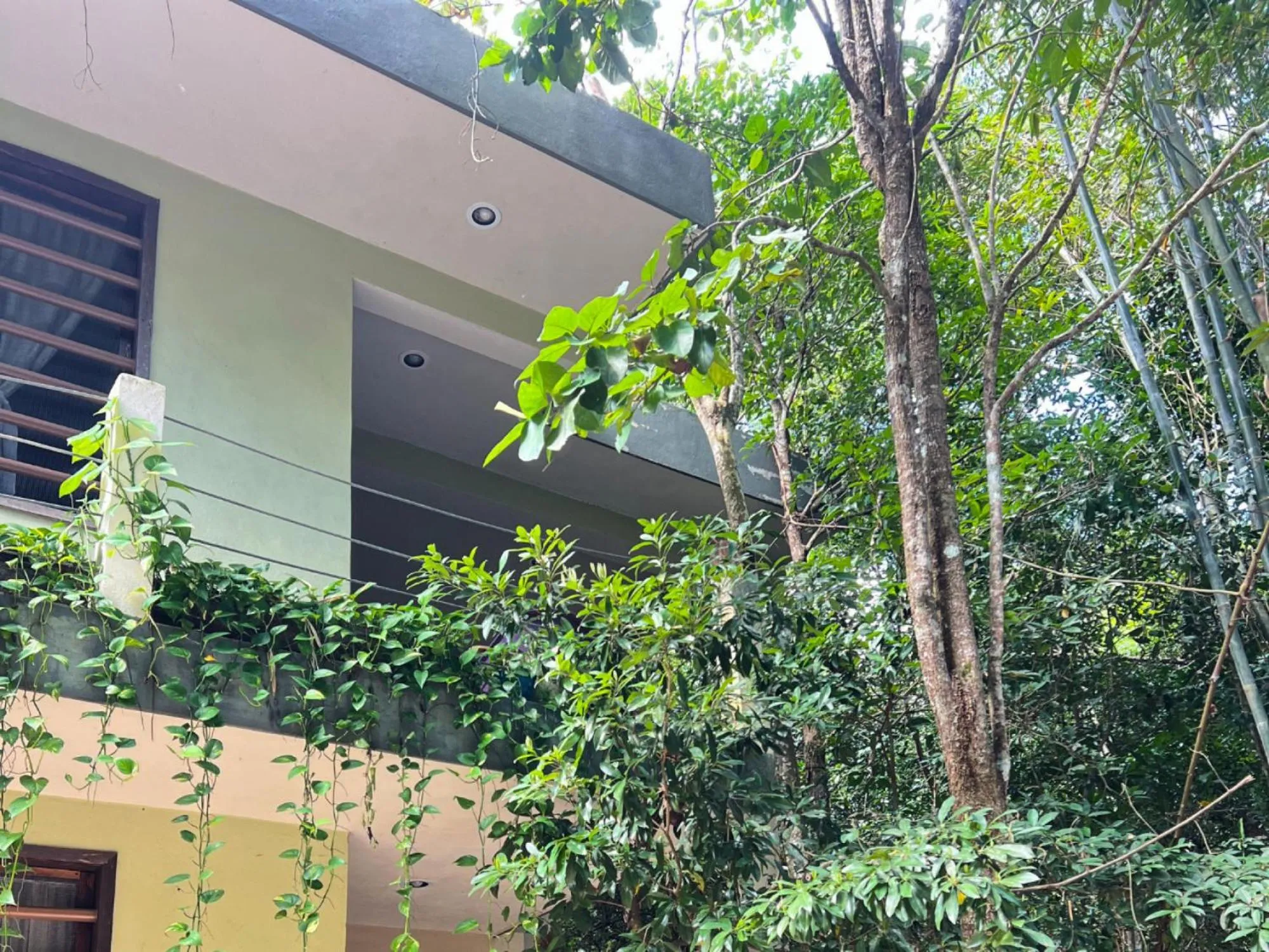 Property building in Hokhmah Heart Hotel