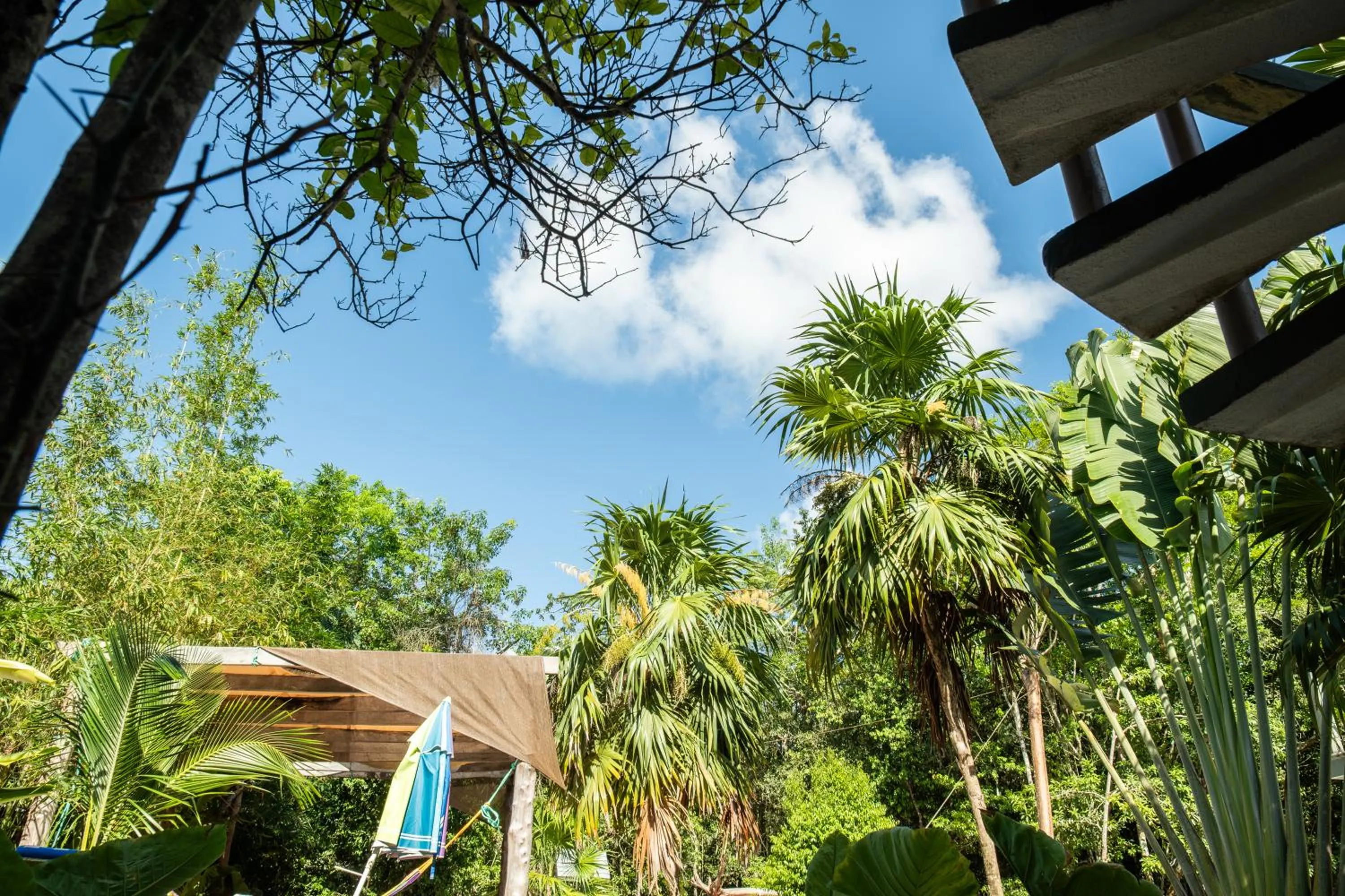 Garden view in Hokhmah Heart Hotel