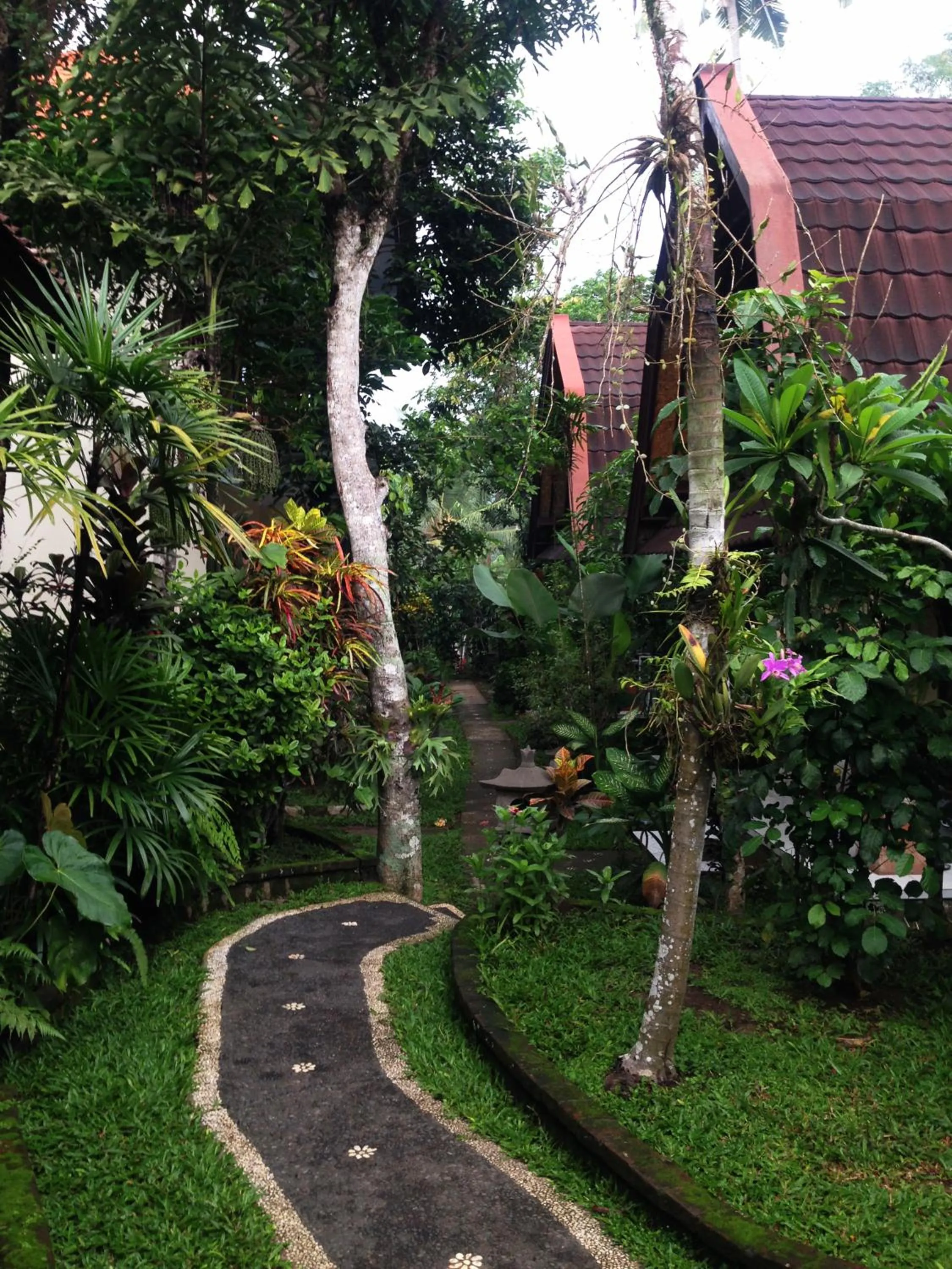 Garden in Pondok Bambu Homestay