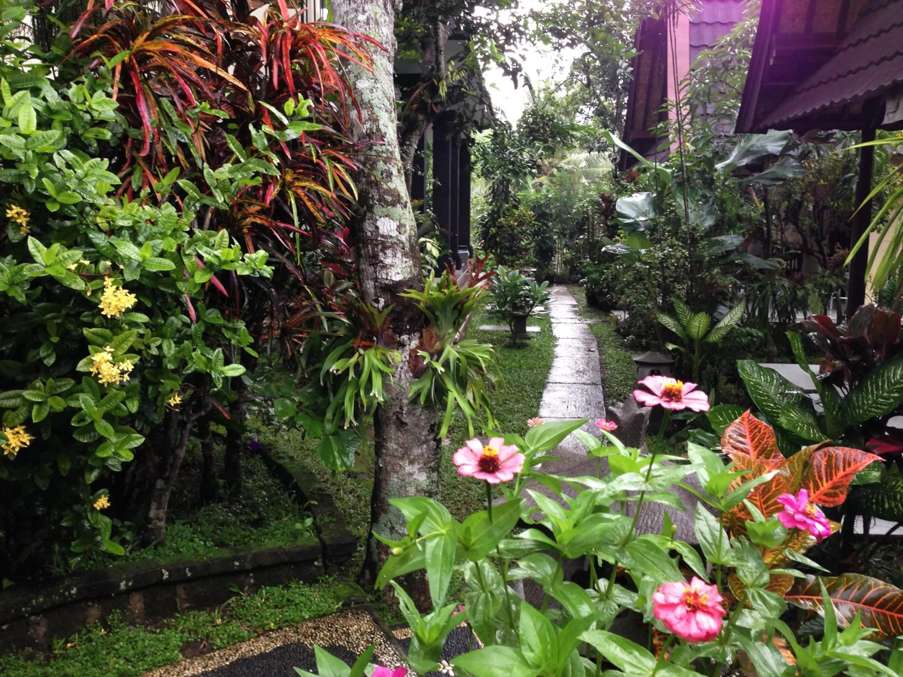 Natural landscape in Pondok Bambu Homestay