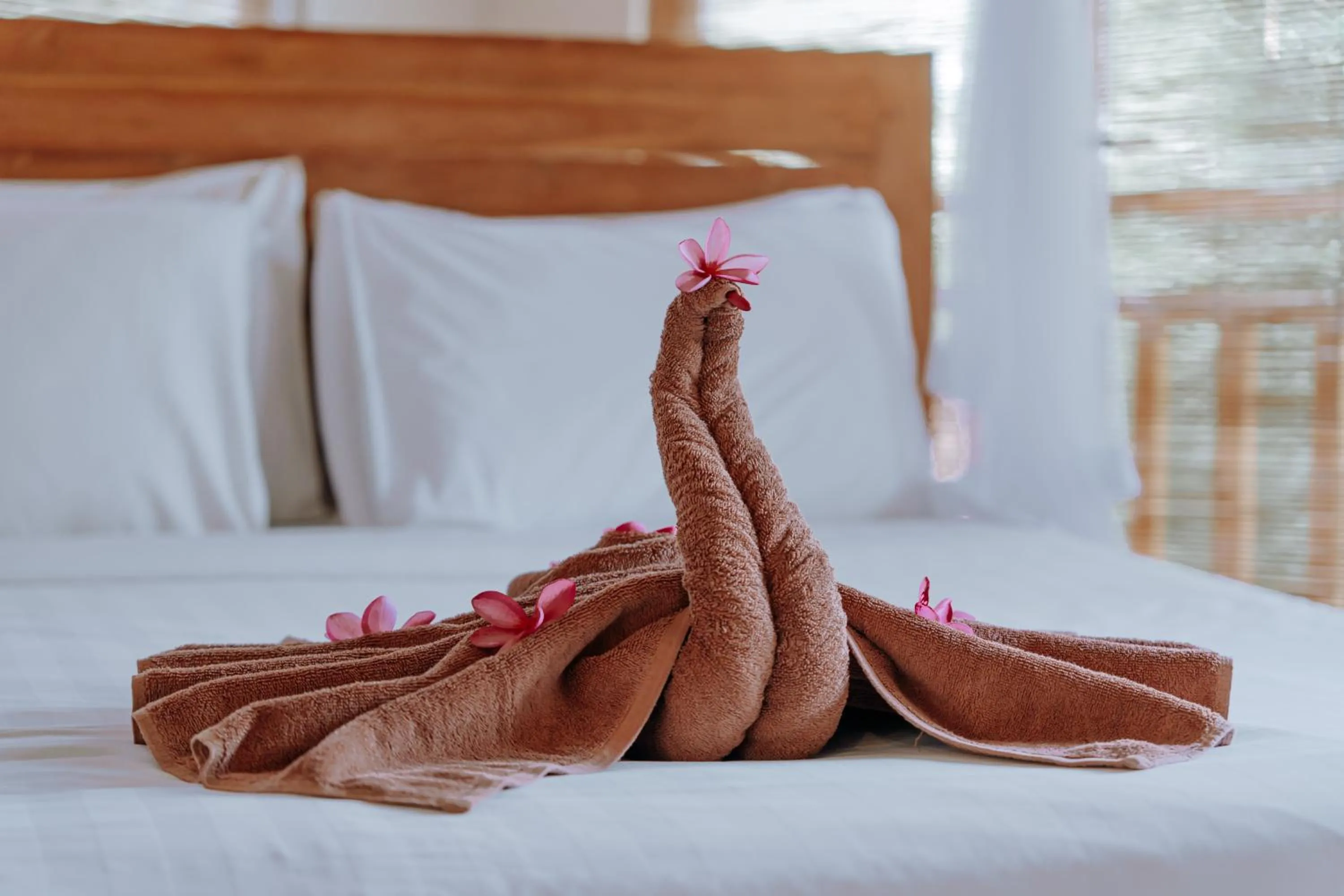 Bed in The Onion Collective