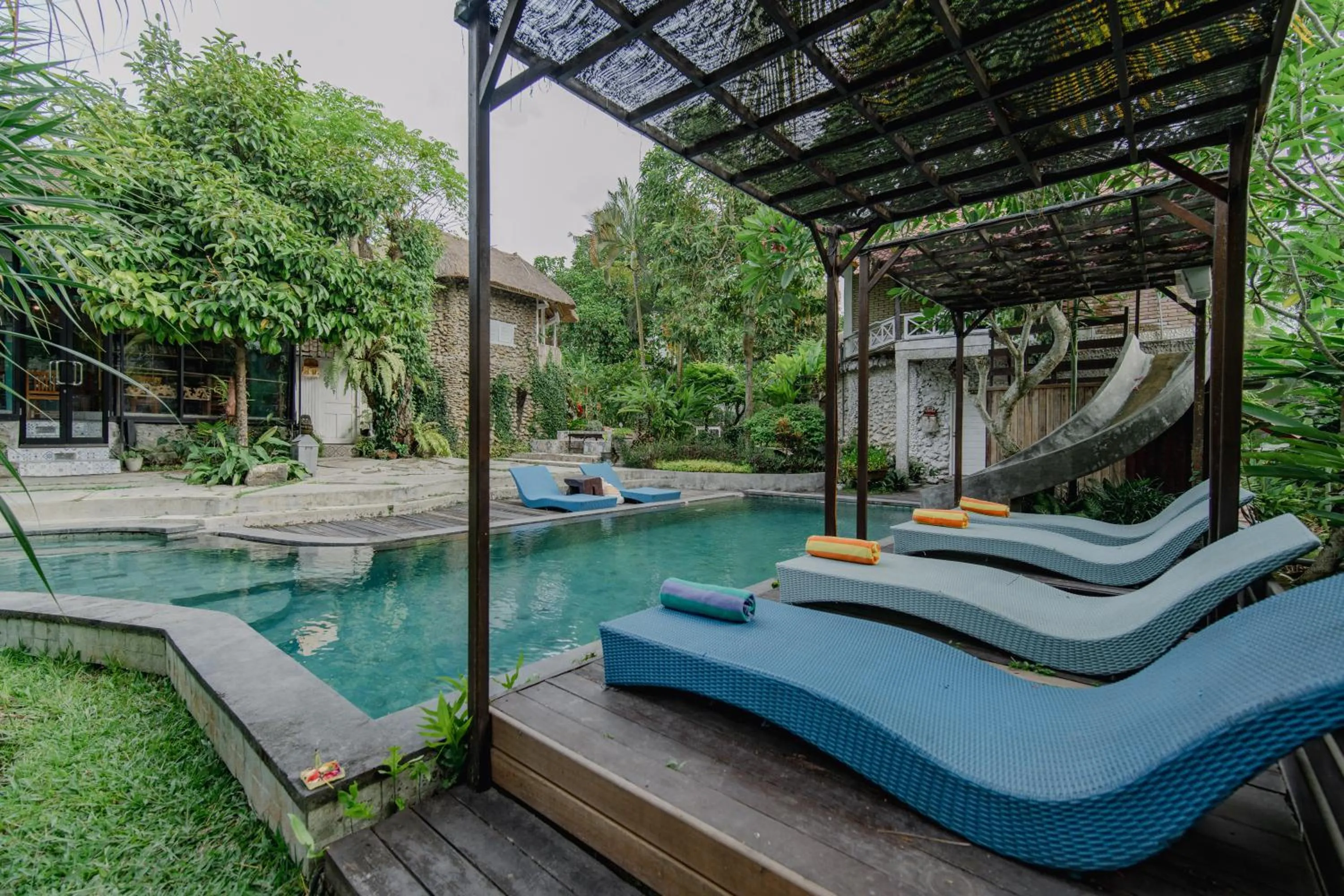 Natural landscape in The Onion Collective