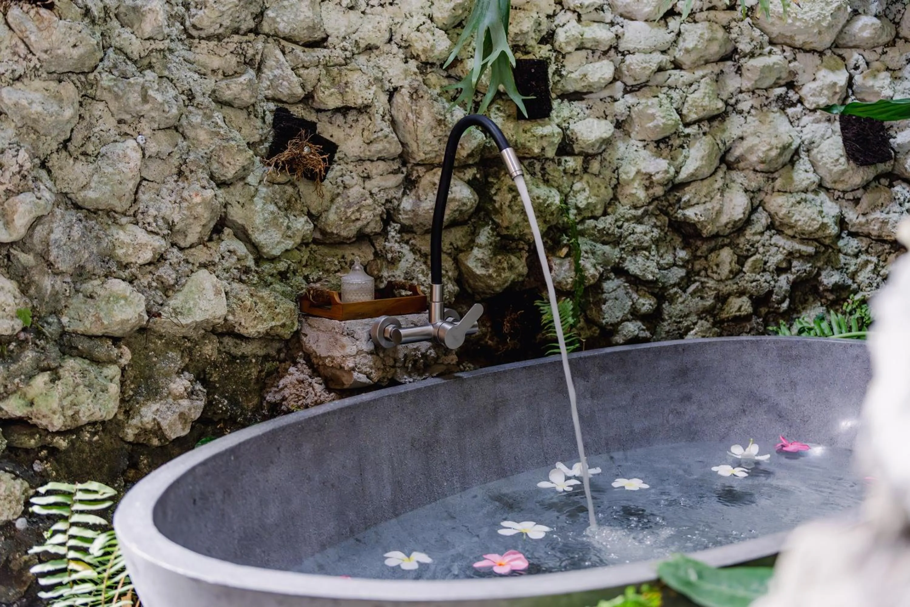 Bath in The Onion Collective