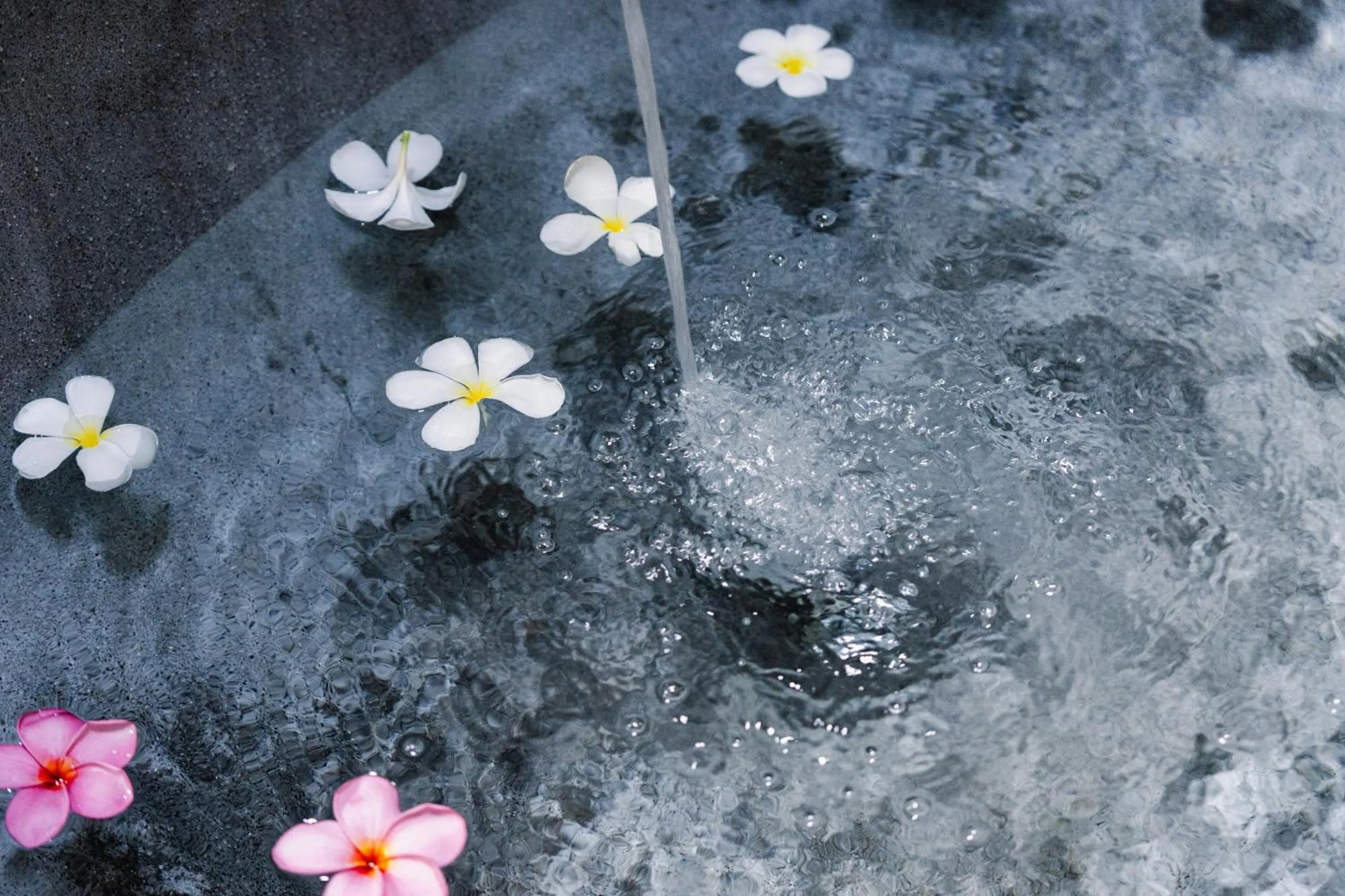 Bath in The Onion Collective