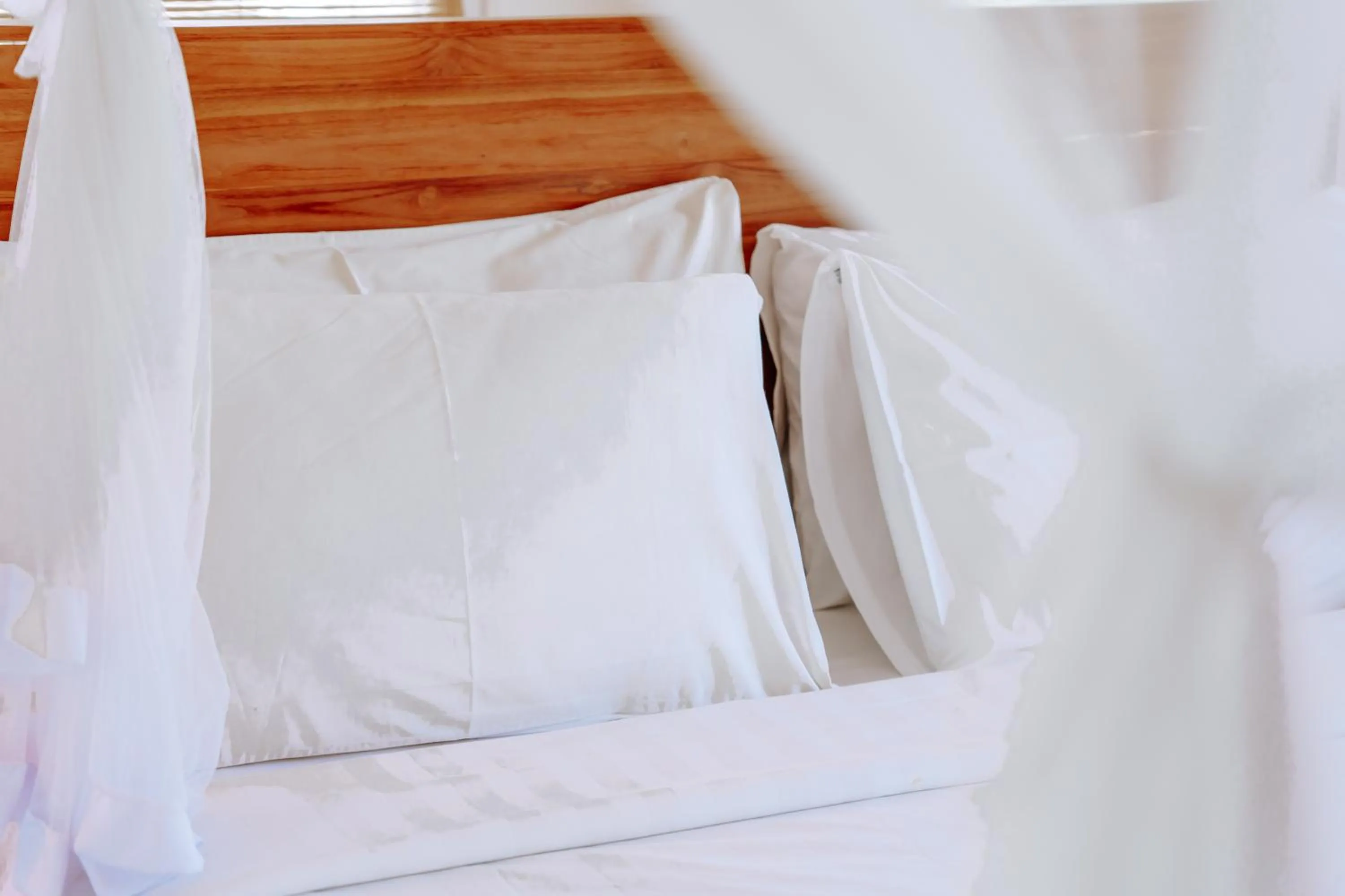 Bed in The Onion Collective