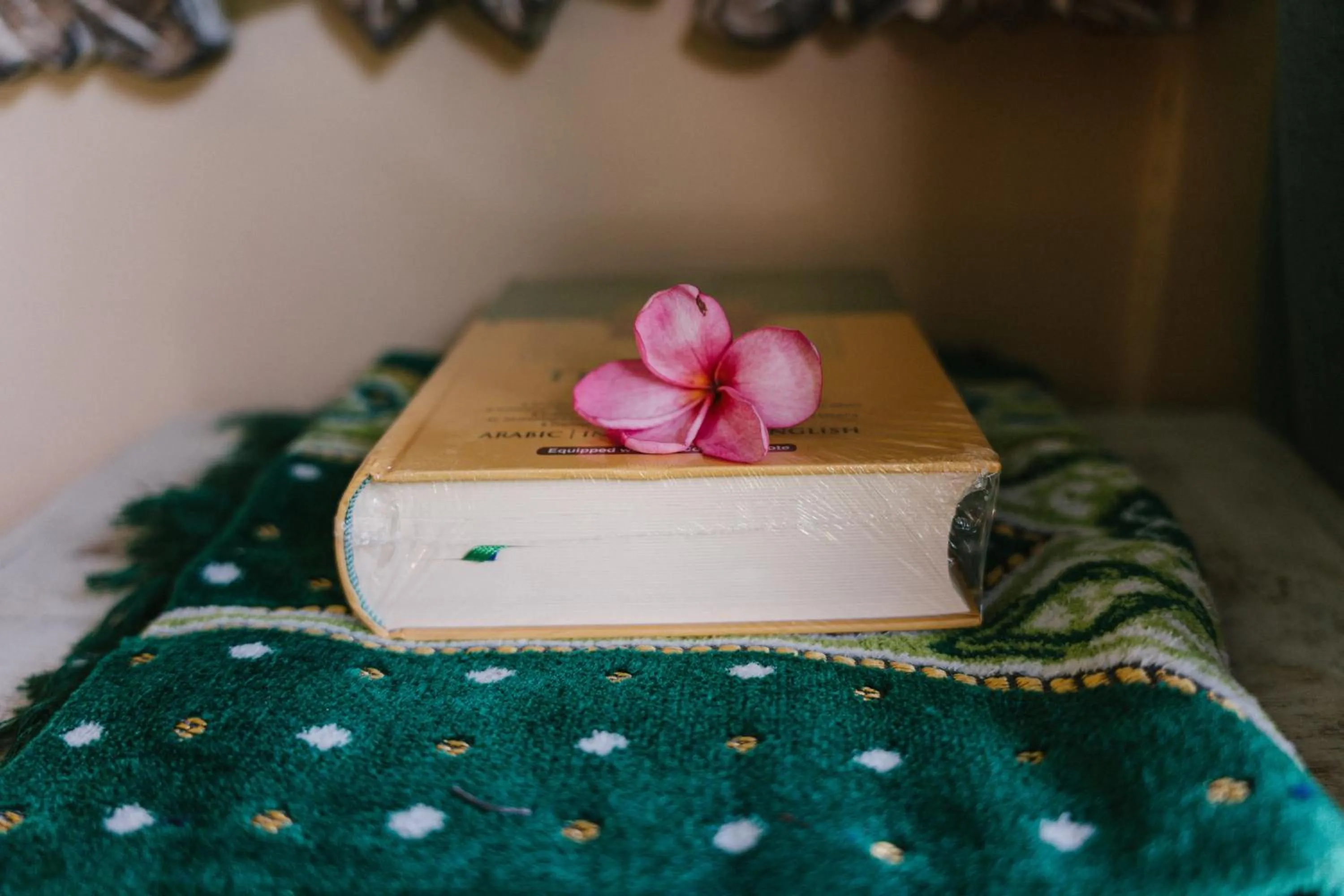 Decorative detail in The Onion Collective