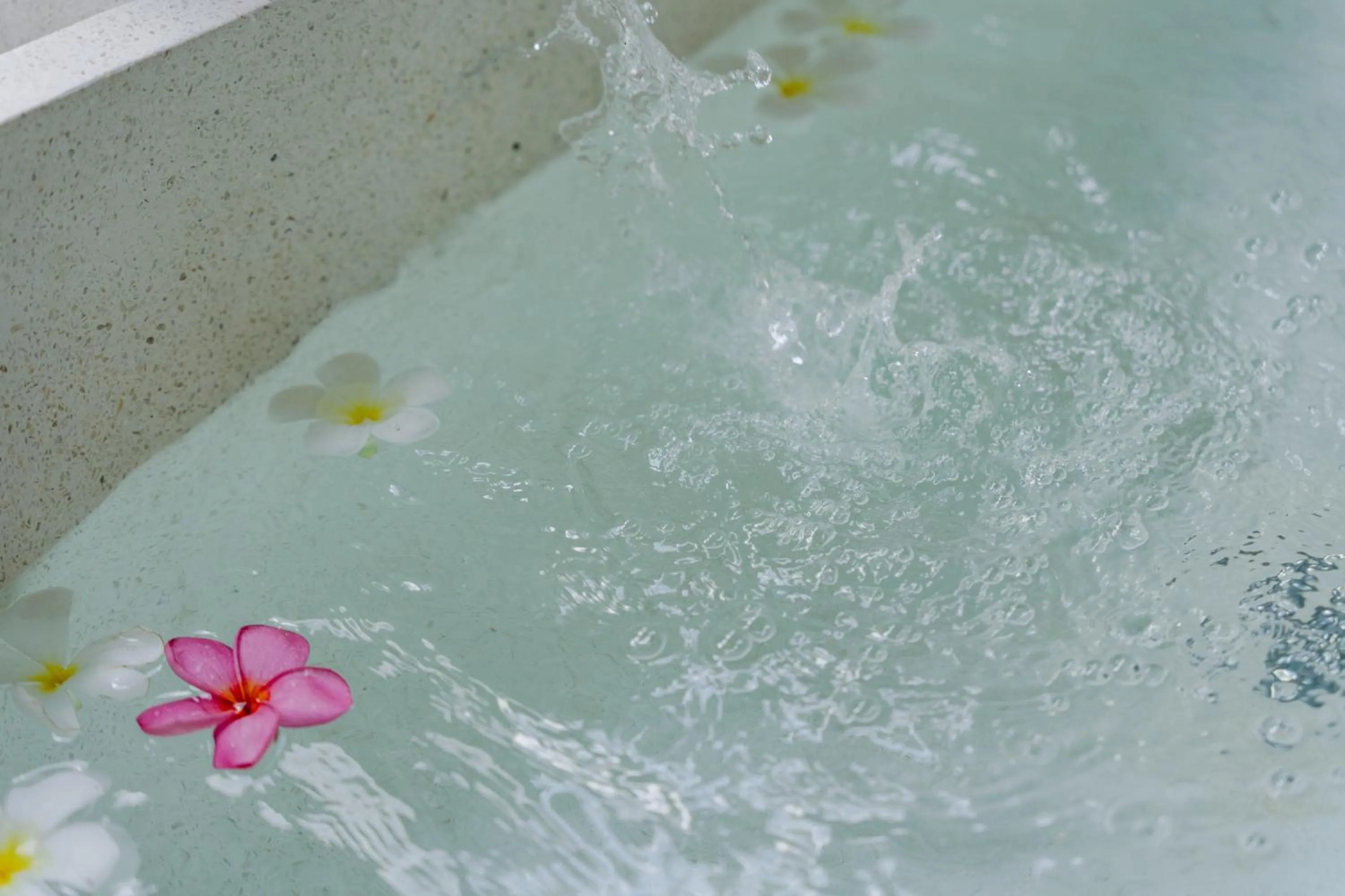 Bath in The Onion Collective