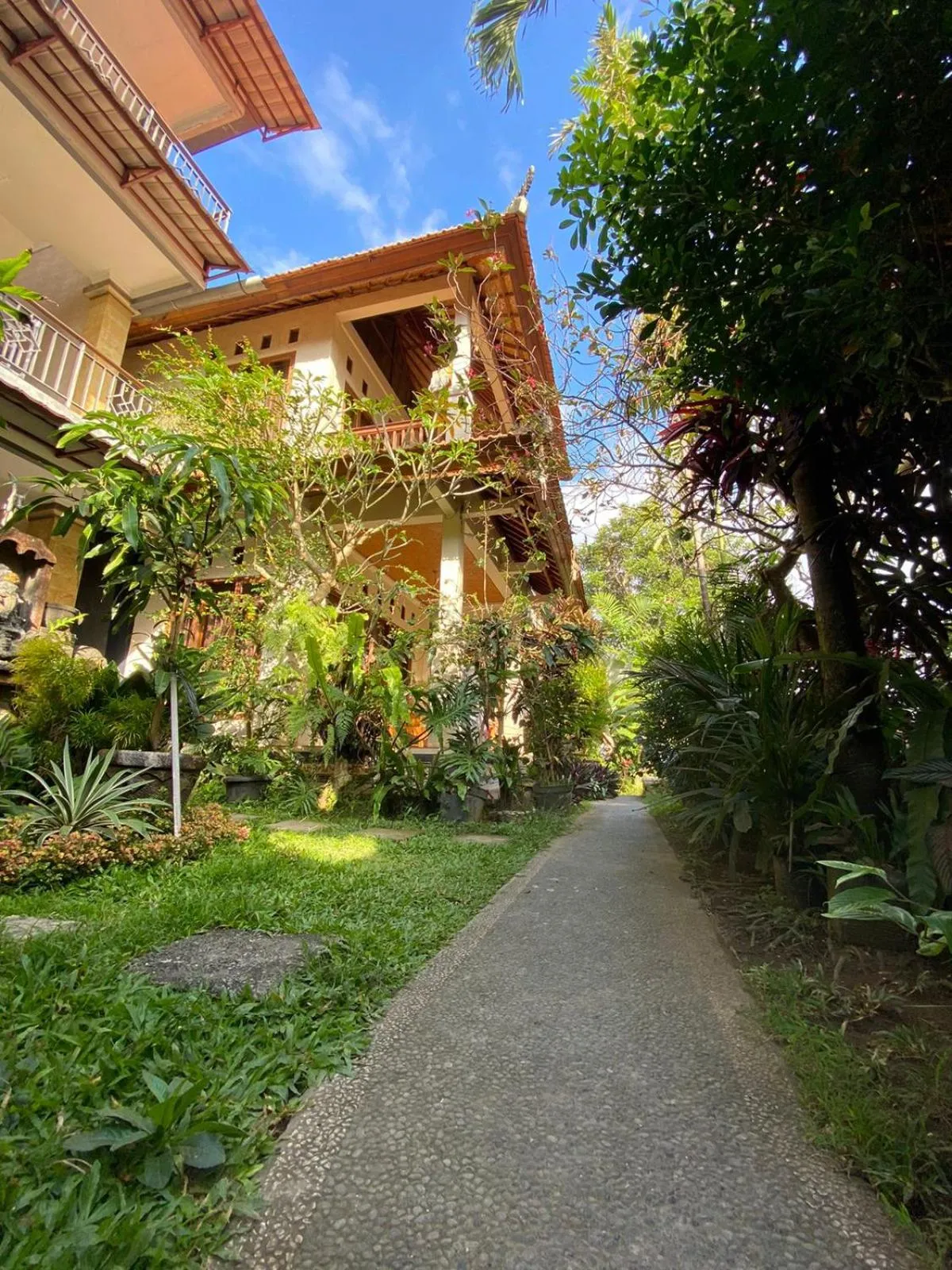 Spring in Bagus Homestay