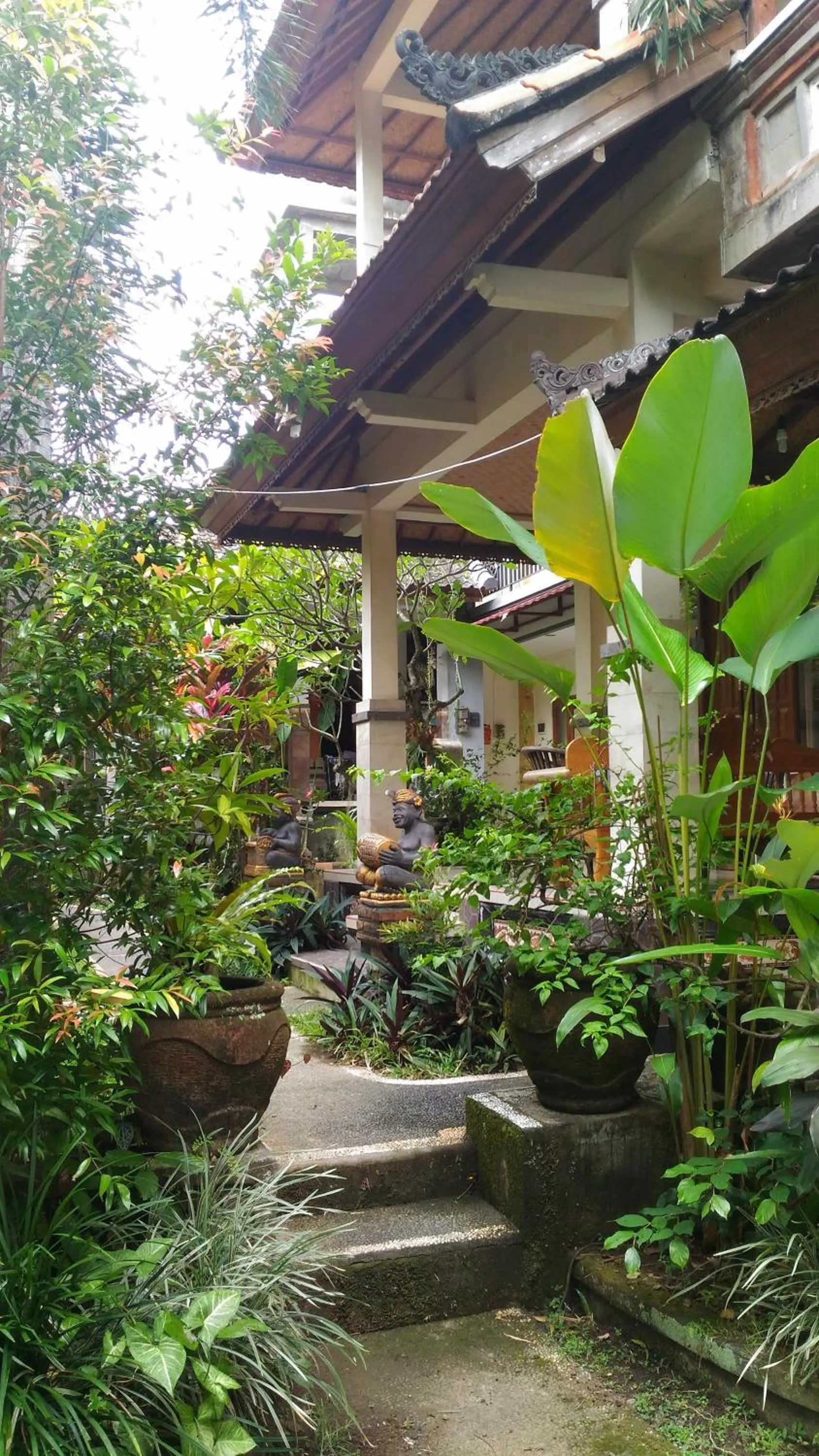 Garden in Bagus Homestay