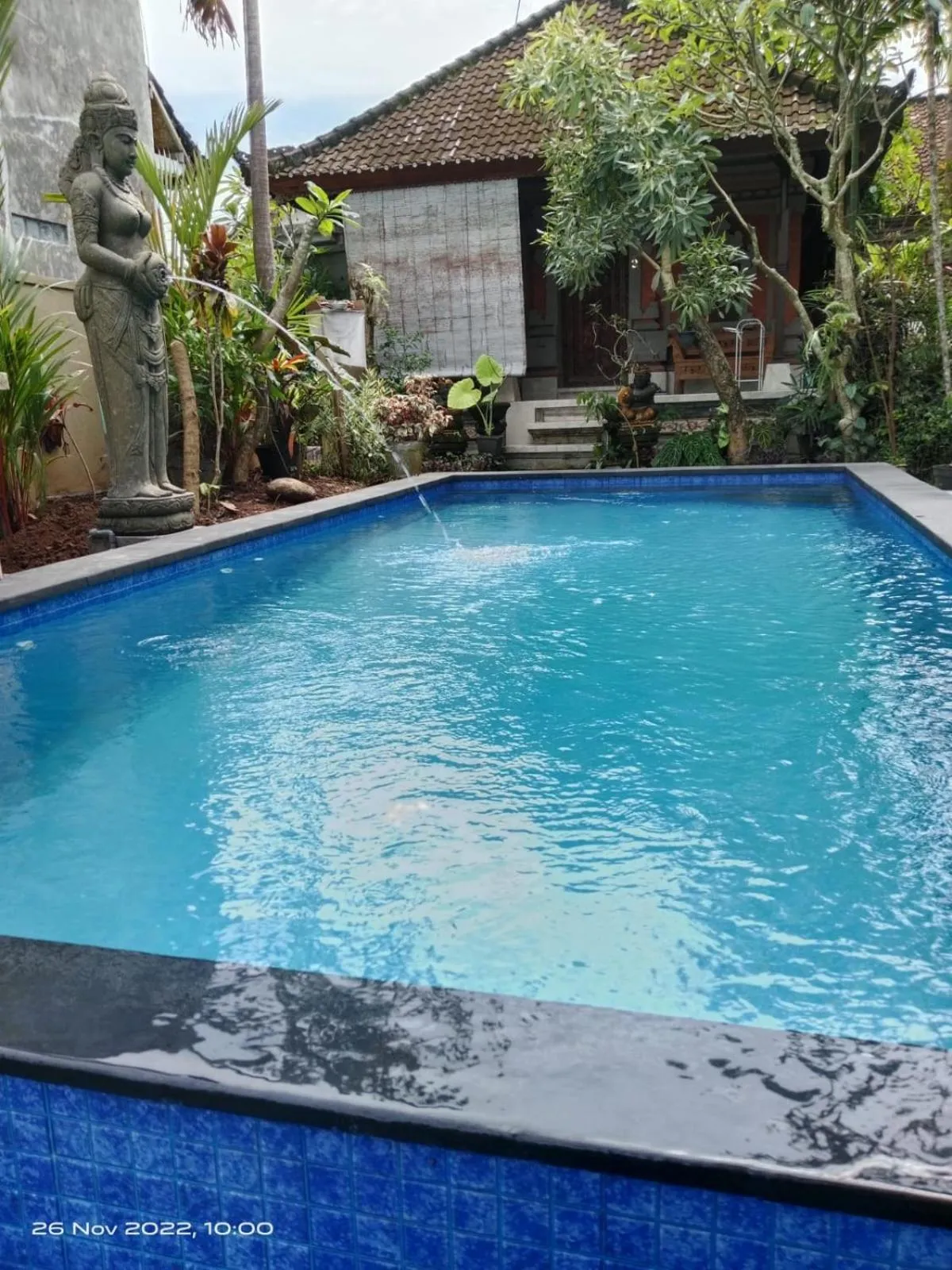 Swimming pool in Bagus Homestay
