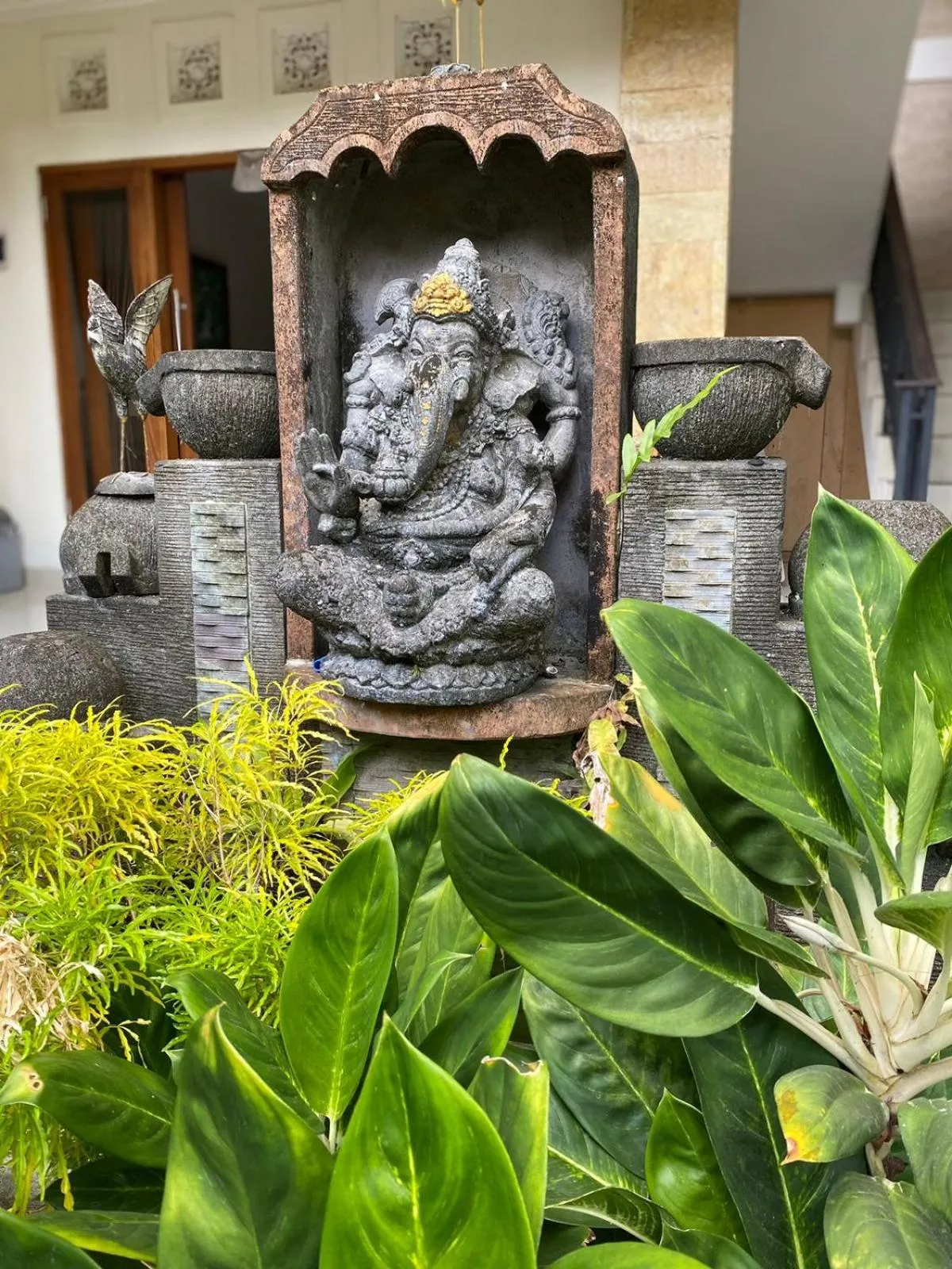 Garden view in Bagus Homestay