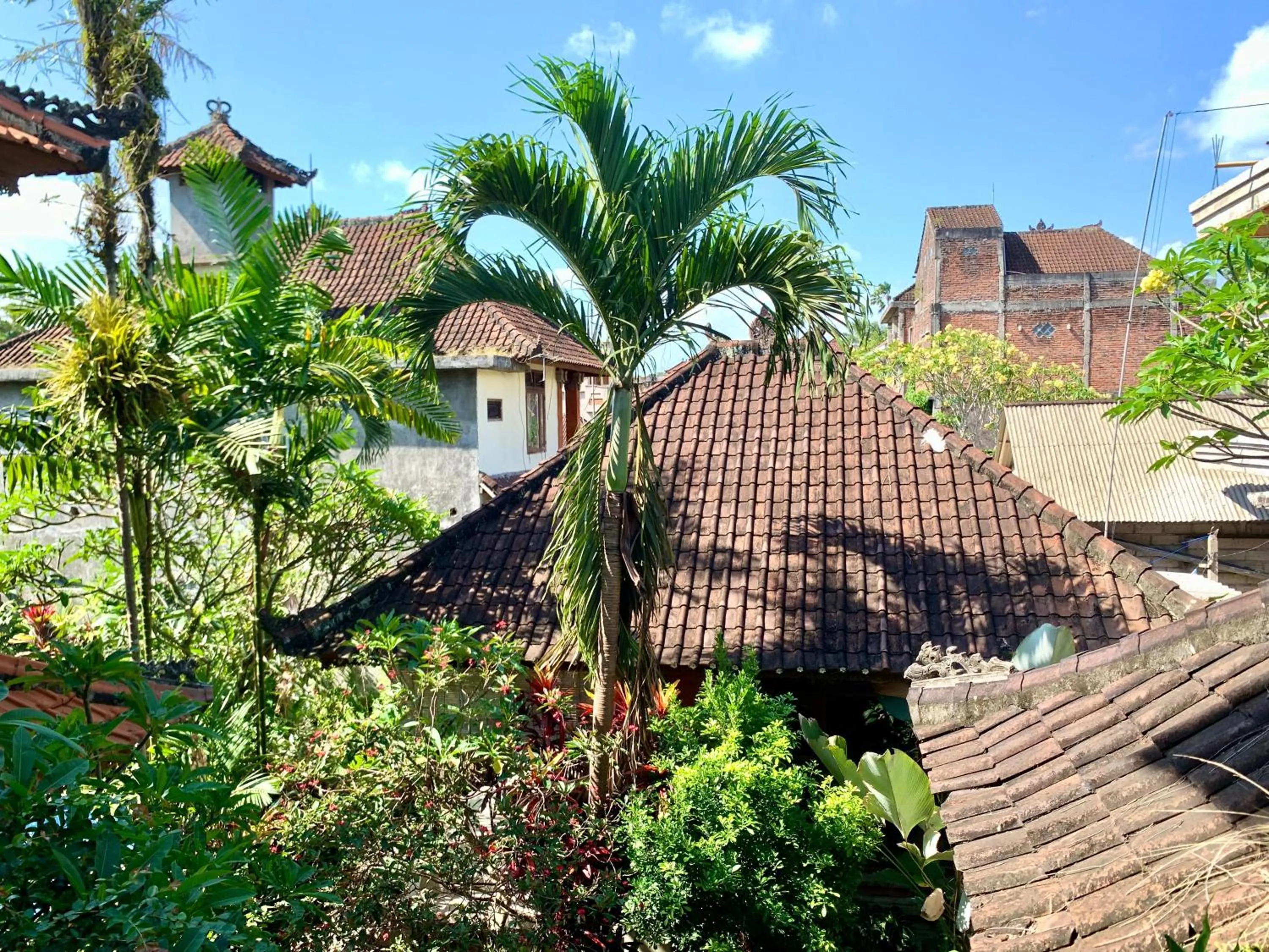 View (from property/room) in Bagus Homestay