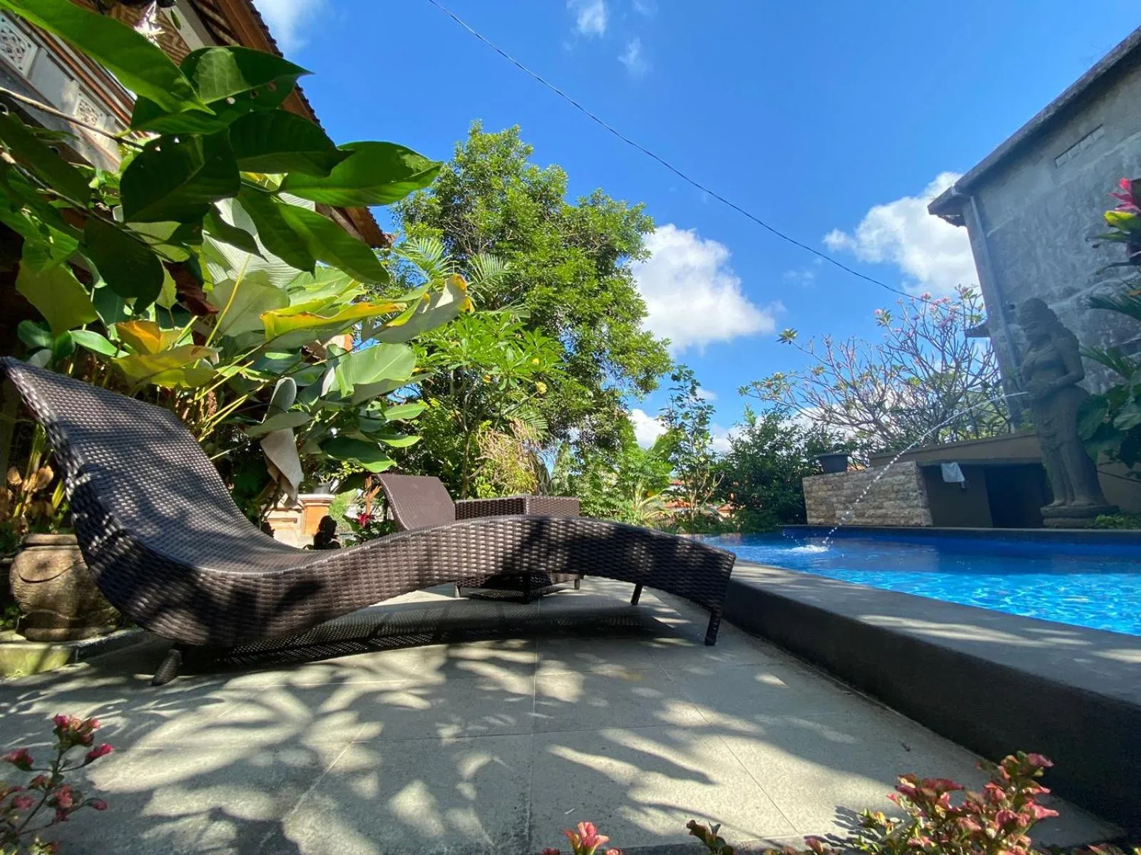 Garden view in Bagus Homestay