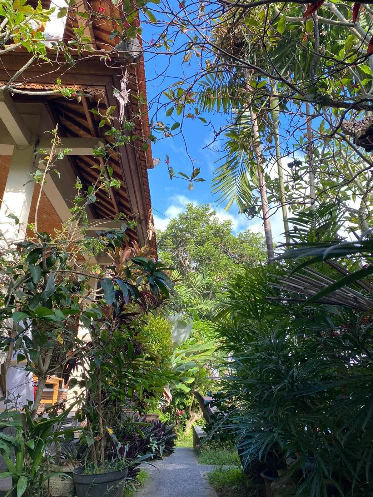 Spring in Bagus Homestay