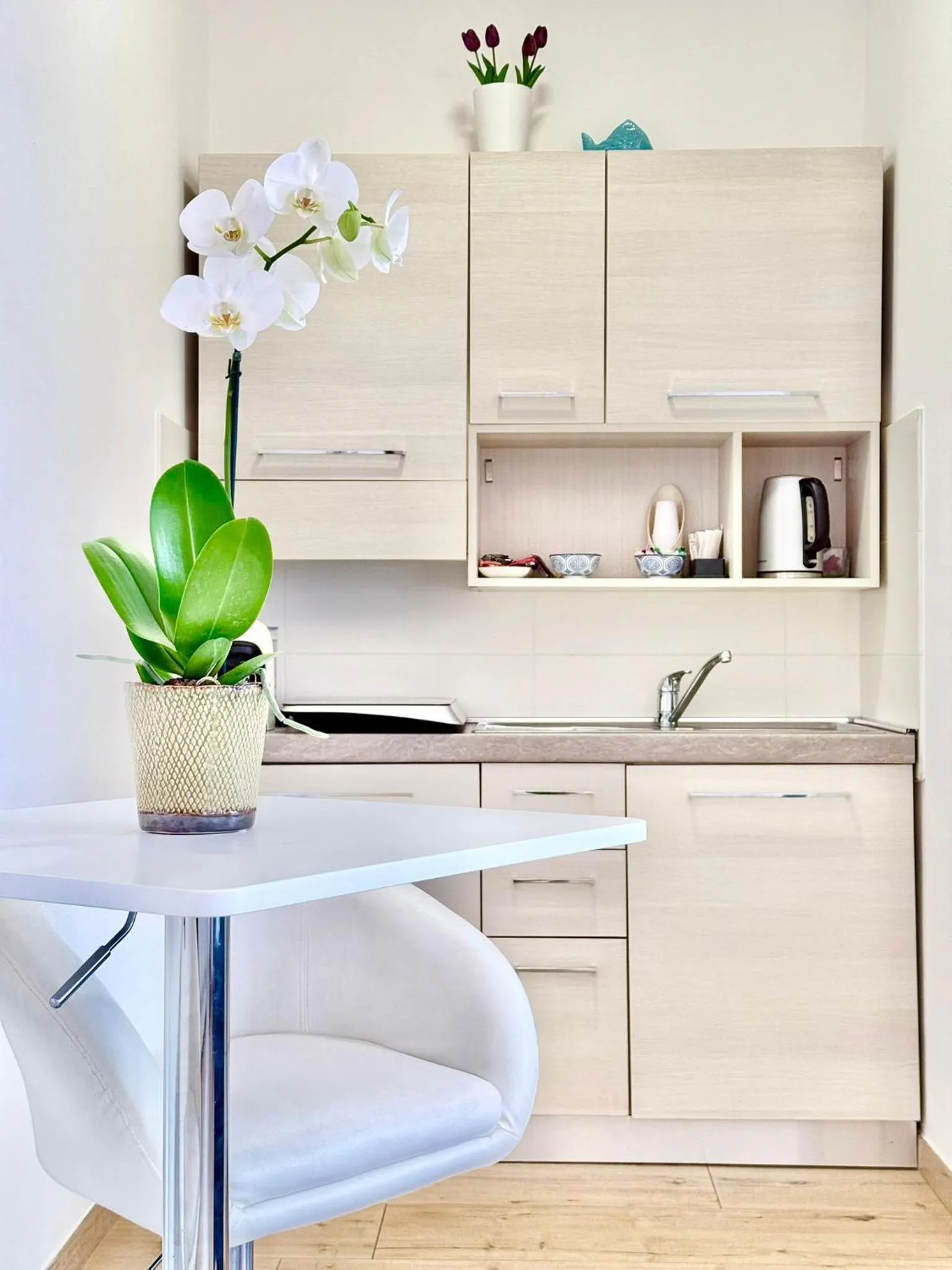 Kitchen or kitchenette in Travel Fiera