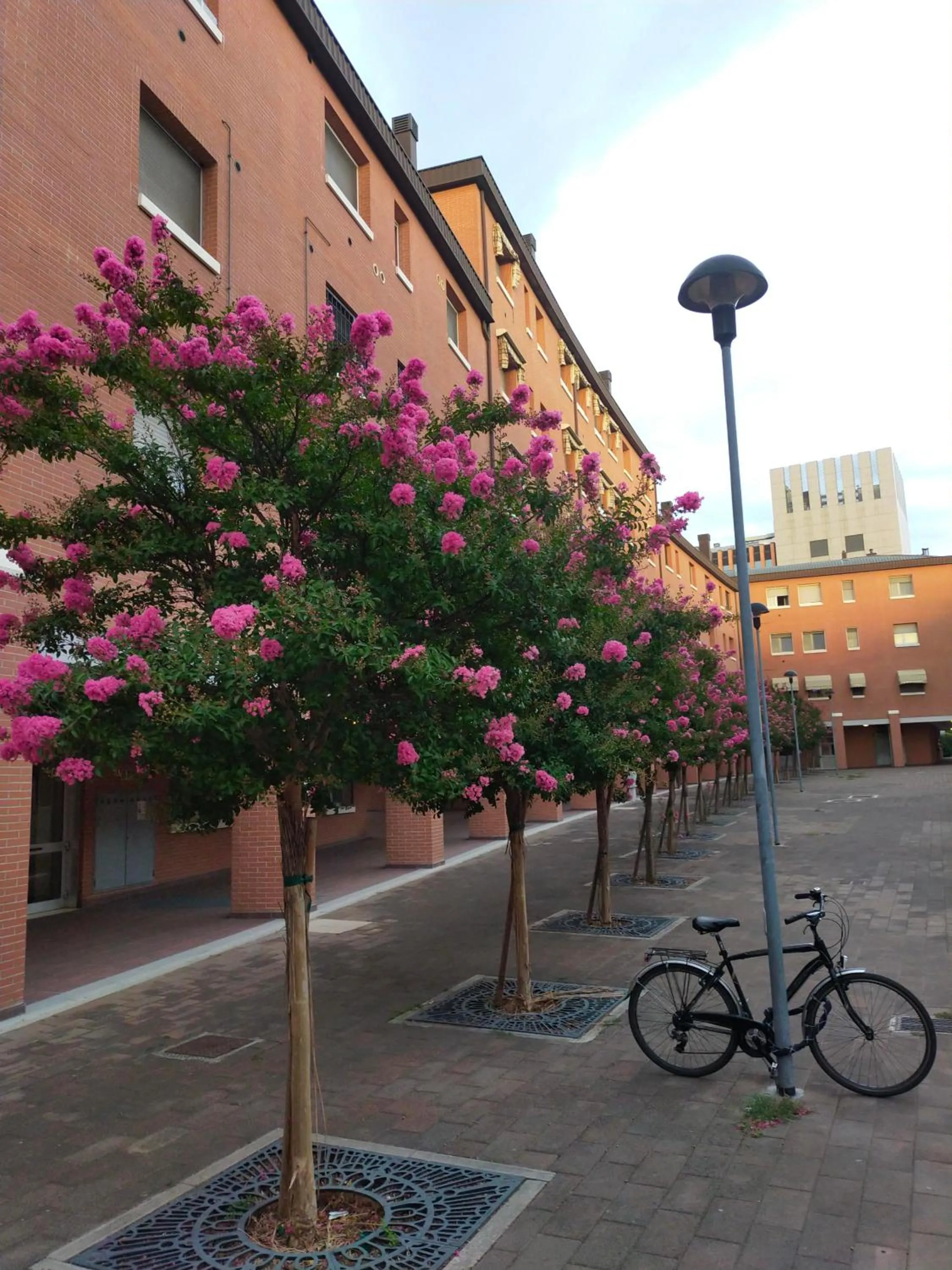 Spring in Travel Fiera