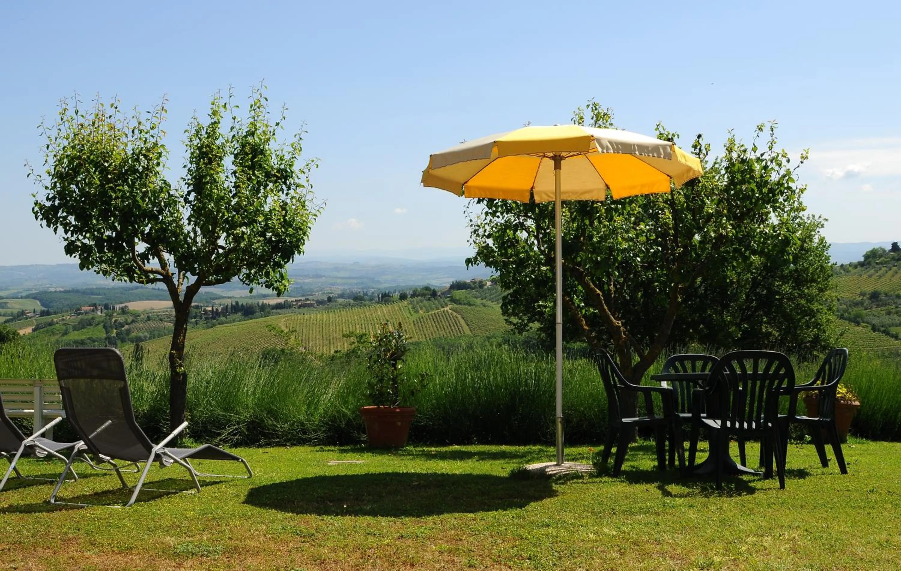 Garden in Hotel San Michele