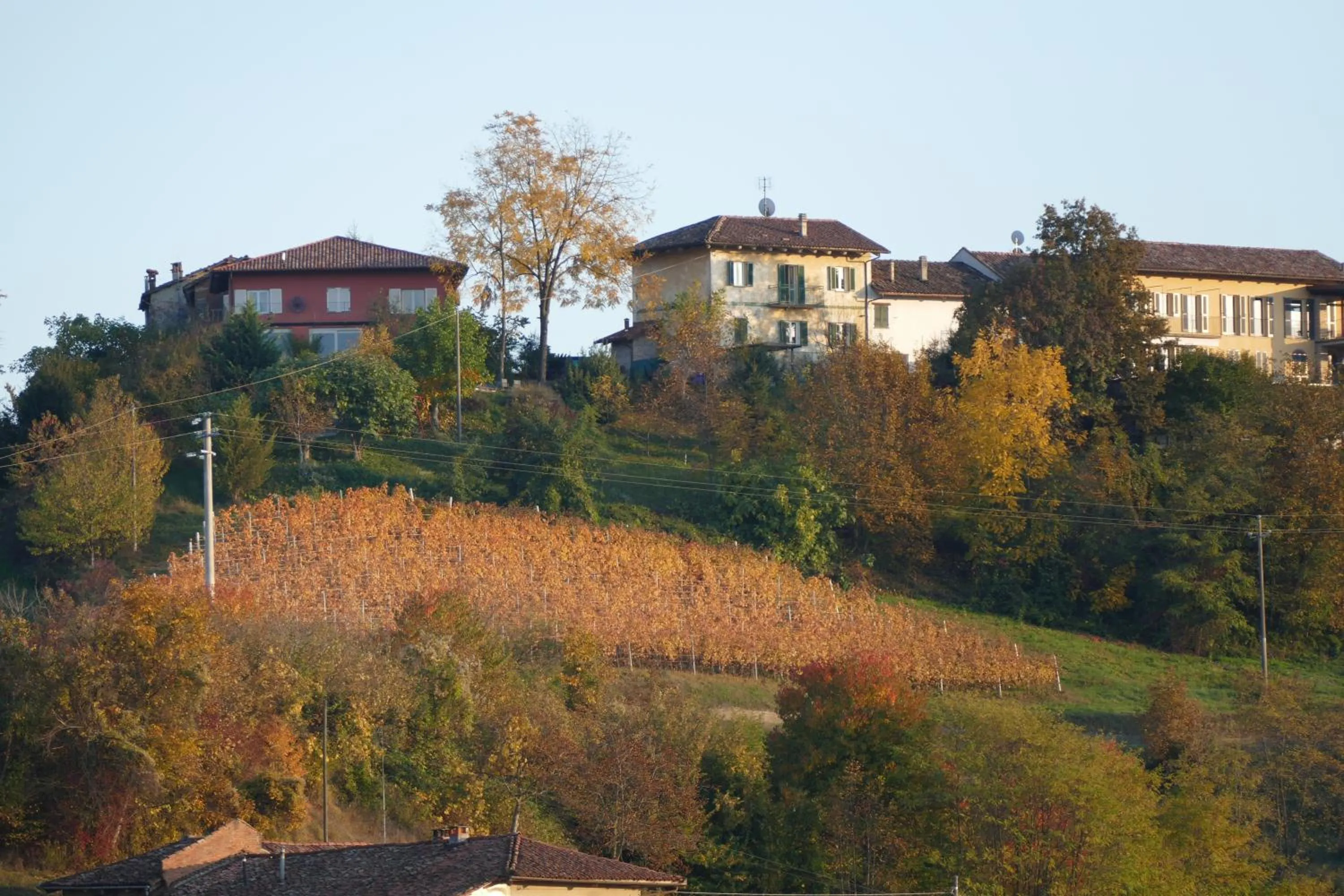 Il Grillo Parlante
