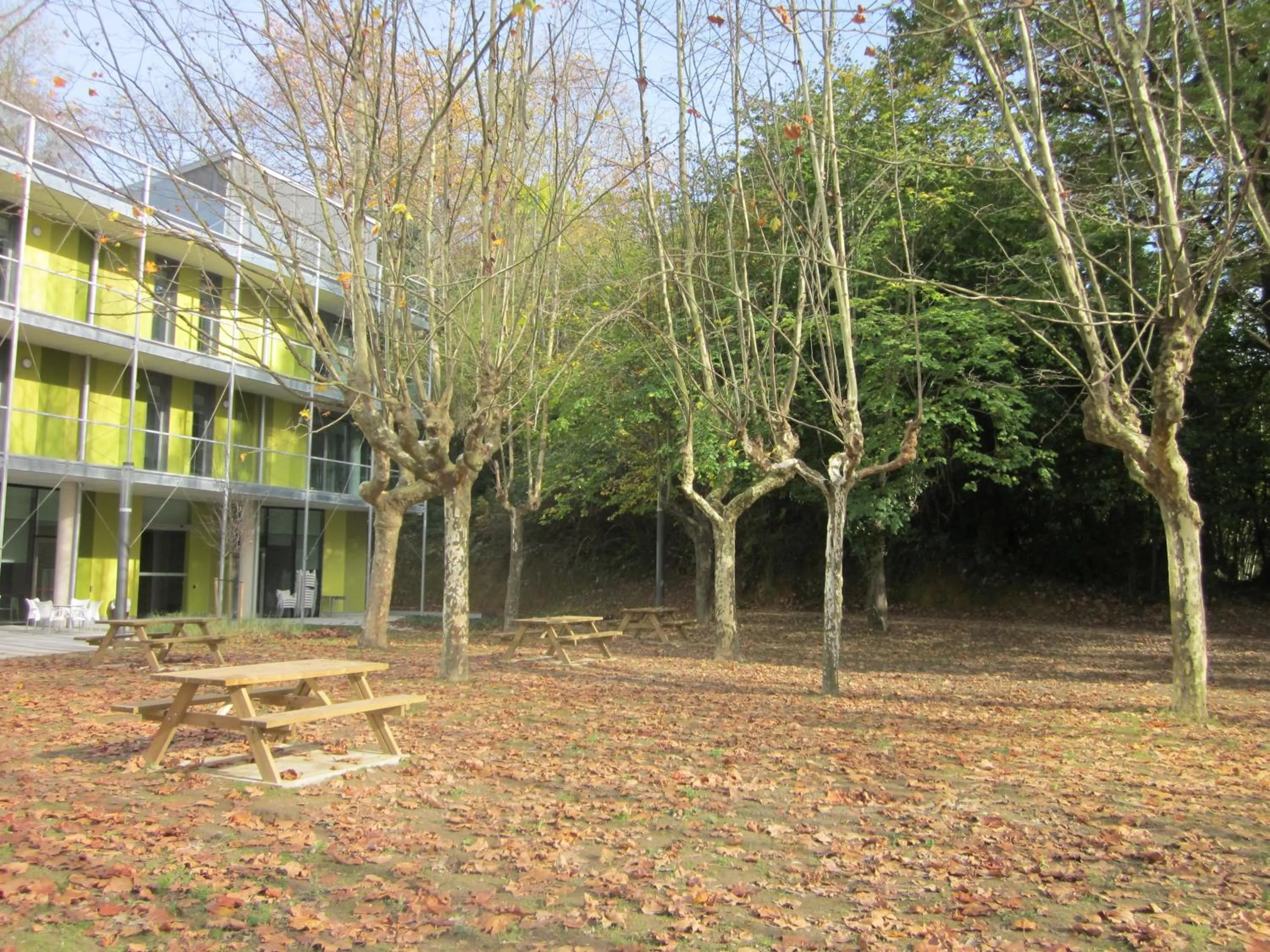 Garden in UBA Hostel