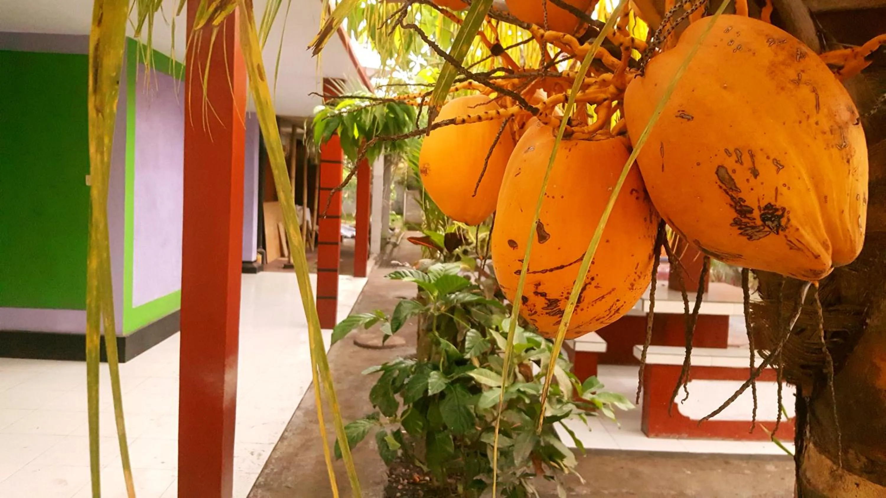 HOTEL SEGARA MANDALA