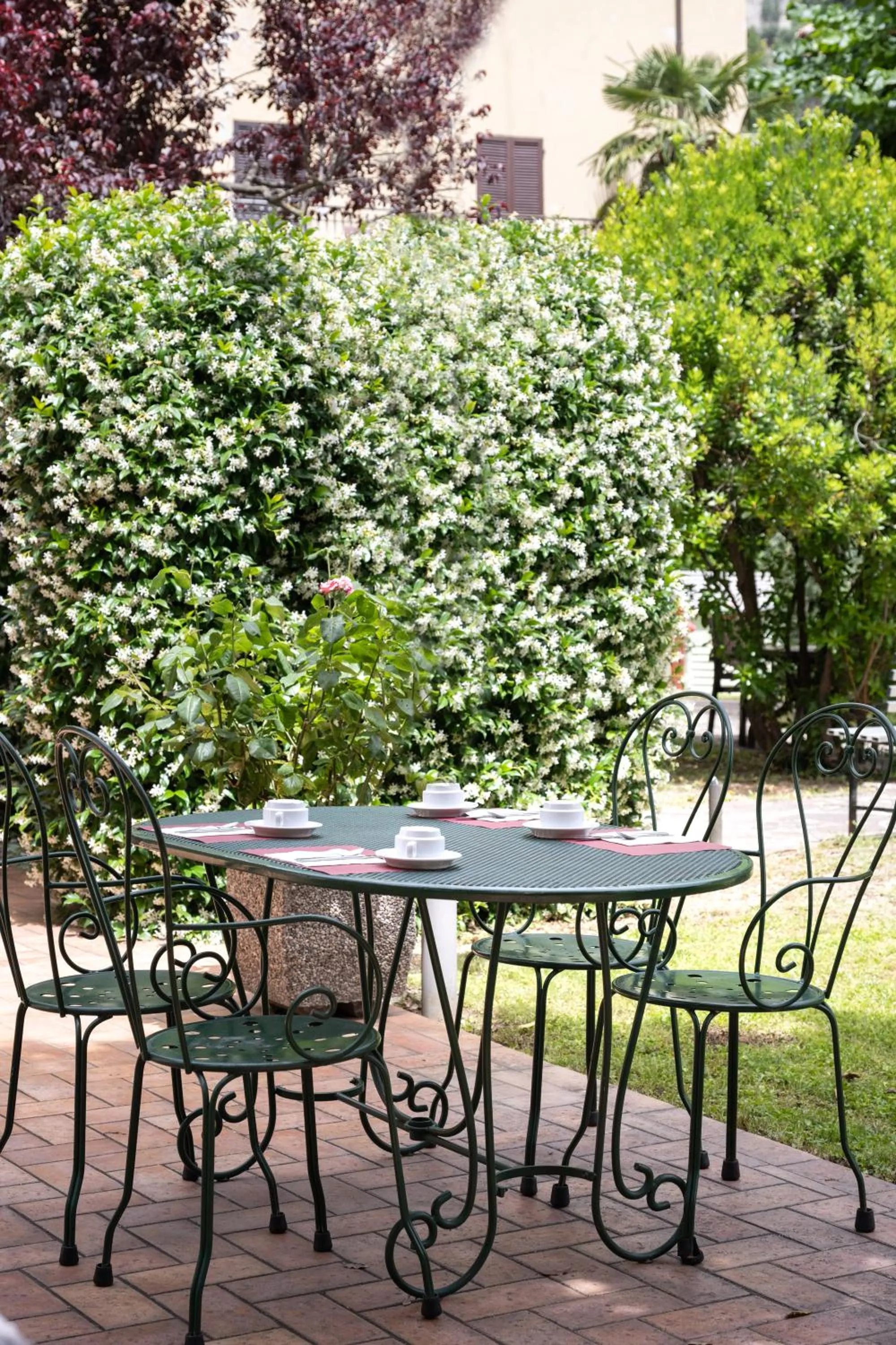 Garden in Hotel San Marco