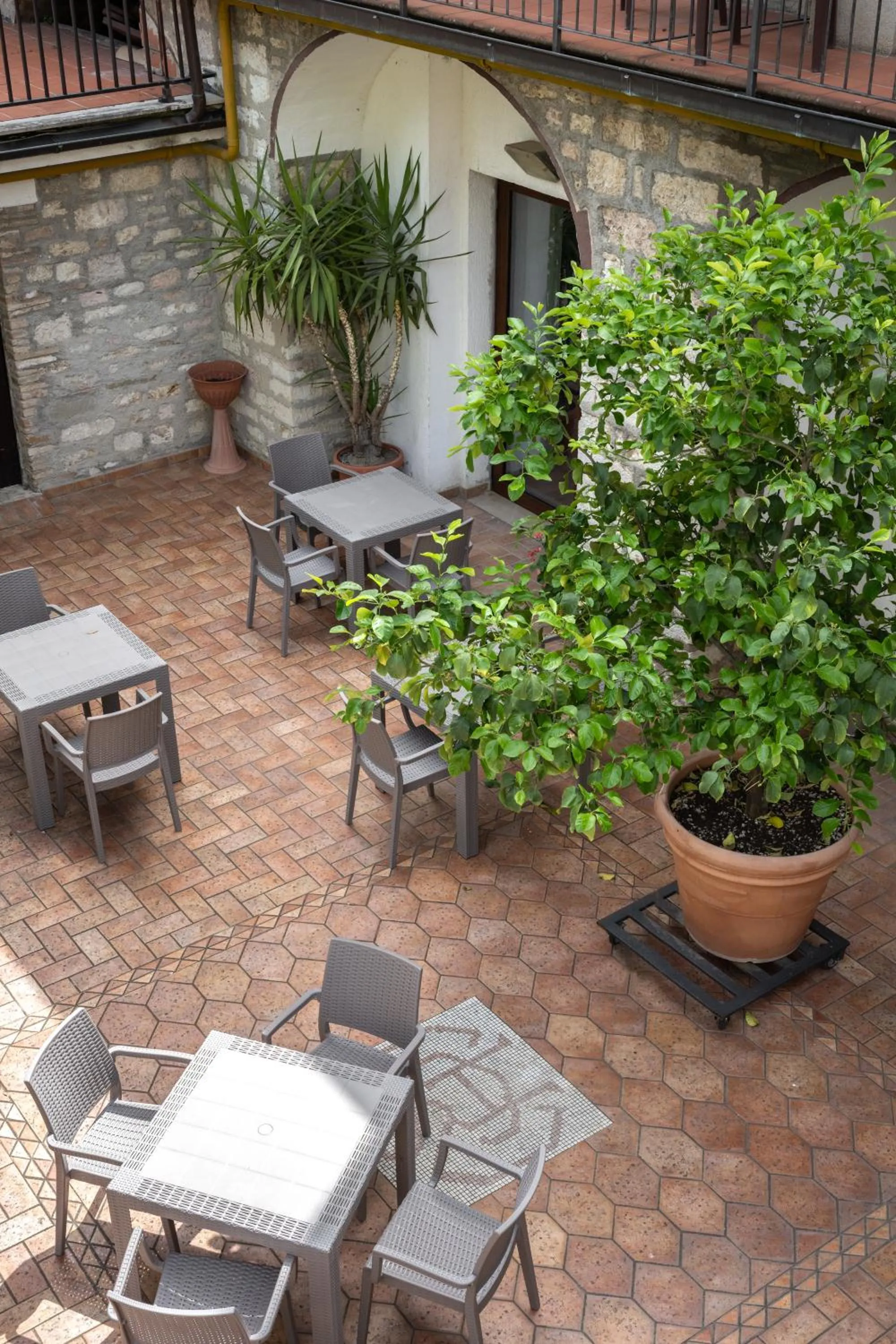 Garden in Hotel San Marco