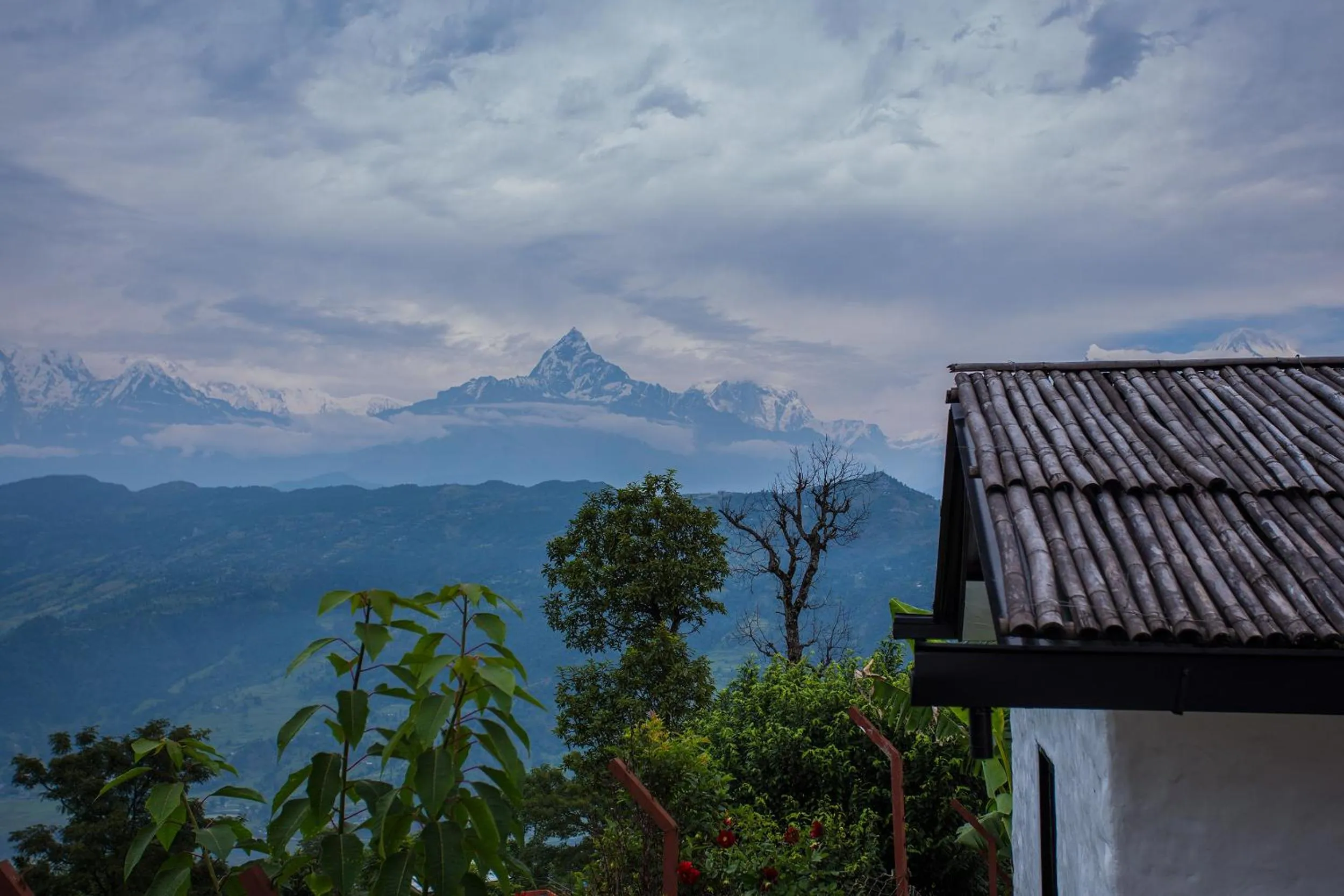 View (from property/room) in Raniban Retreat
