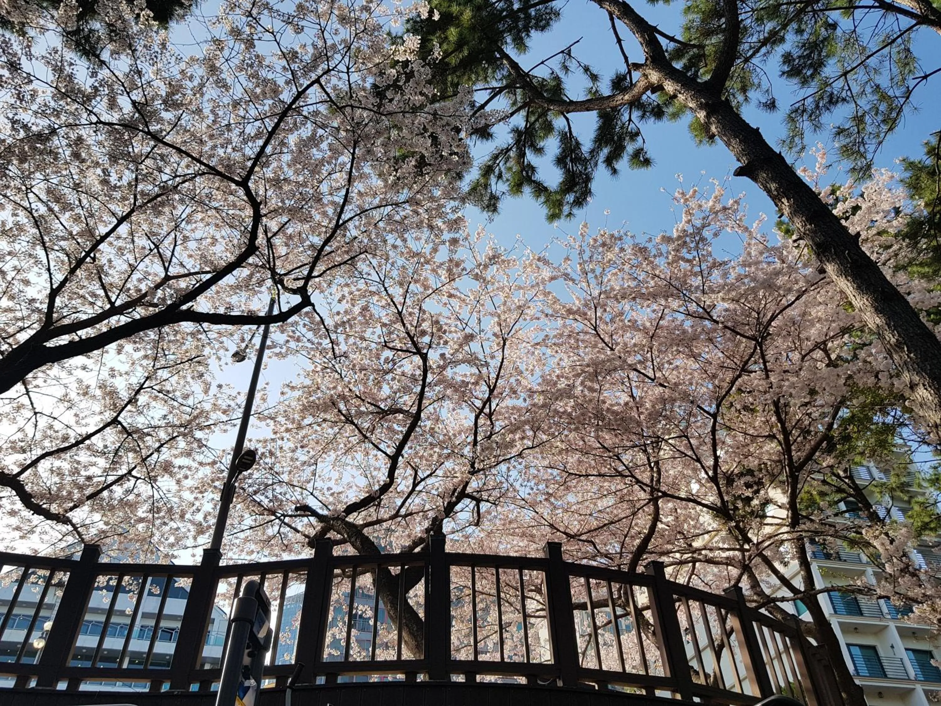 Activities in Suntree Hotel