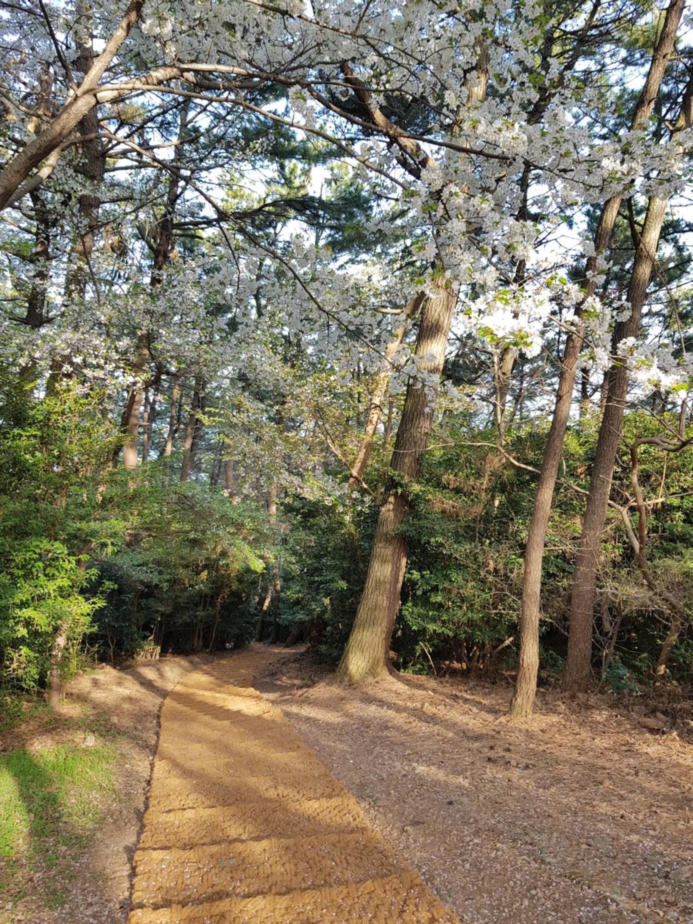 Activities in Suntree Hotel