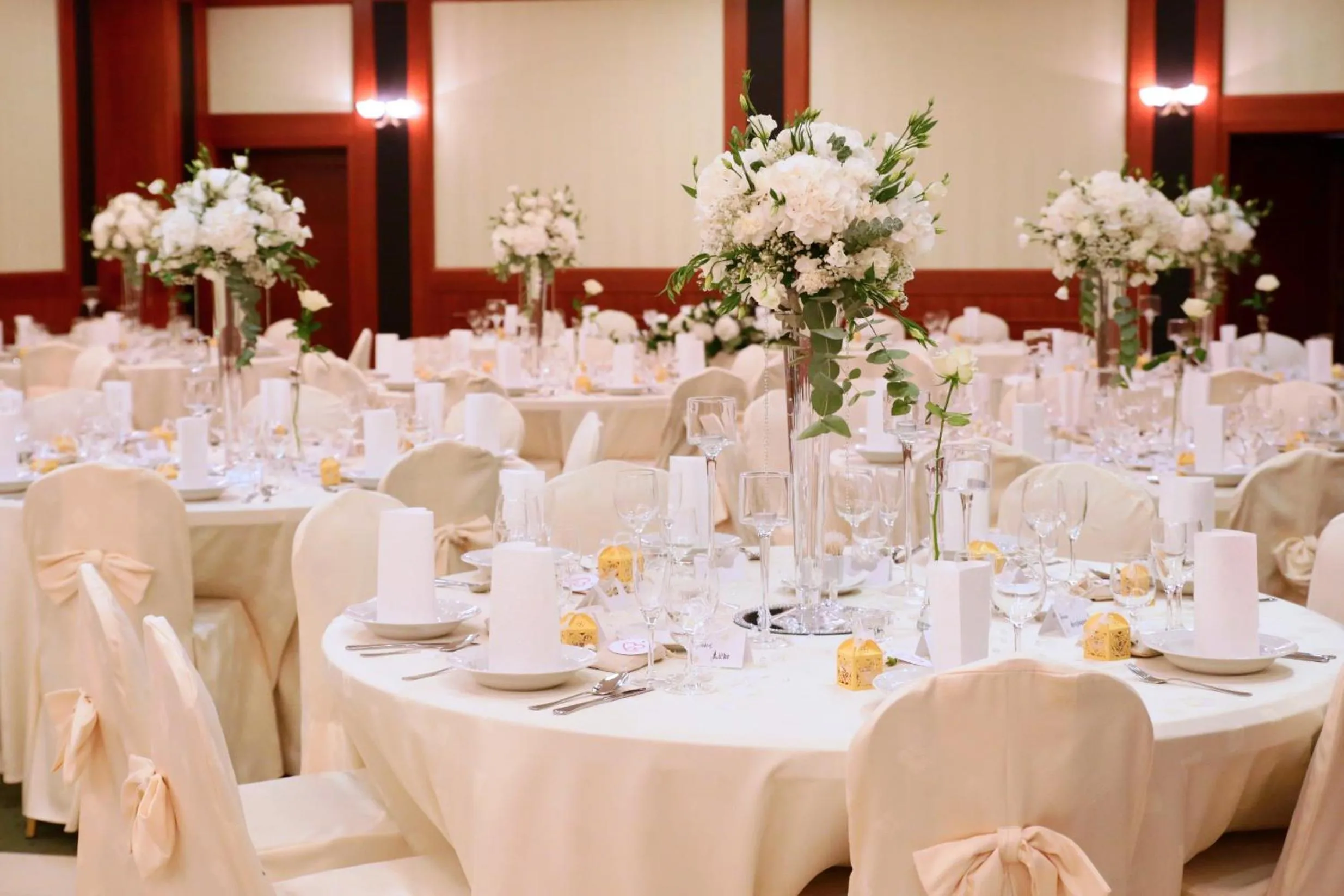 Banquet/Function facilities, Banquet Facilities in Hotel sv. Ludmila