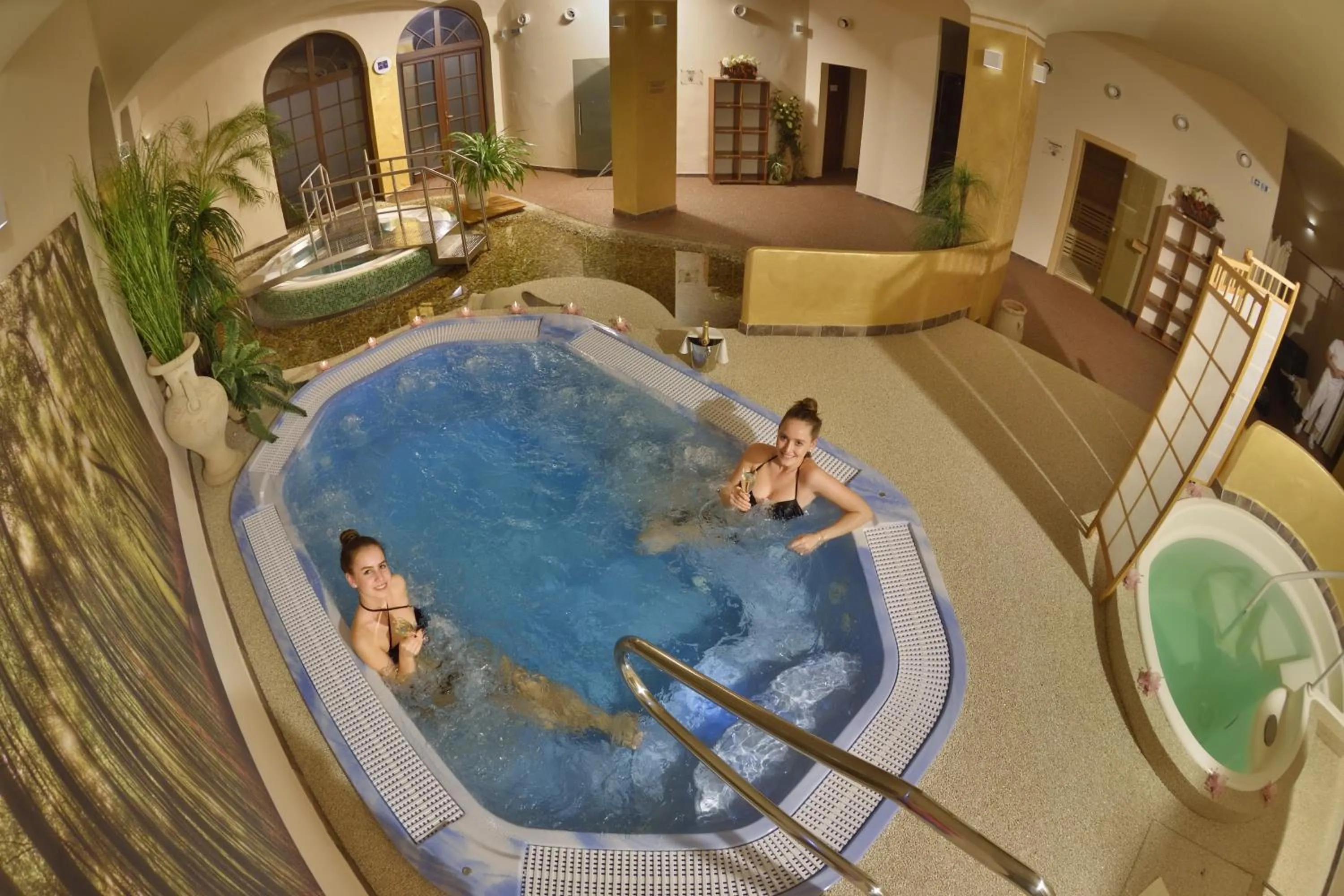 Spa and wellness centre/facilities, Pool View in Hotel sv. Ludmila