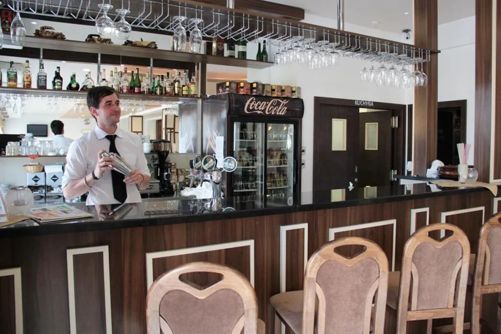 Lounge or bar in Hotel Auto Jas