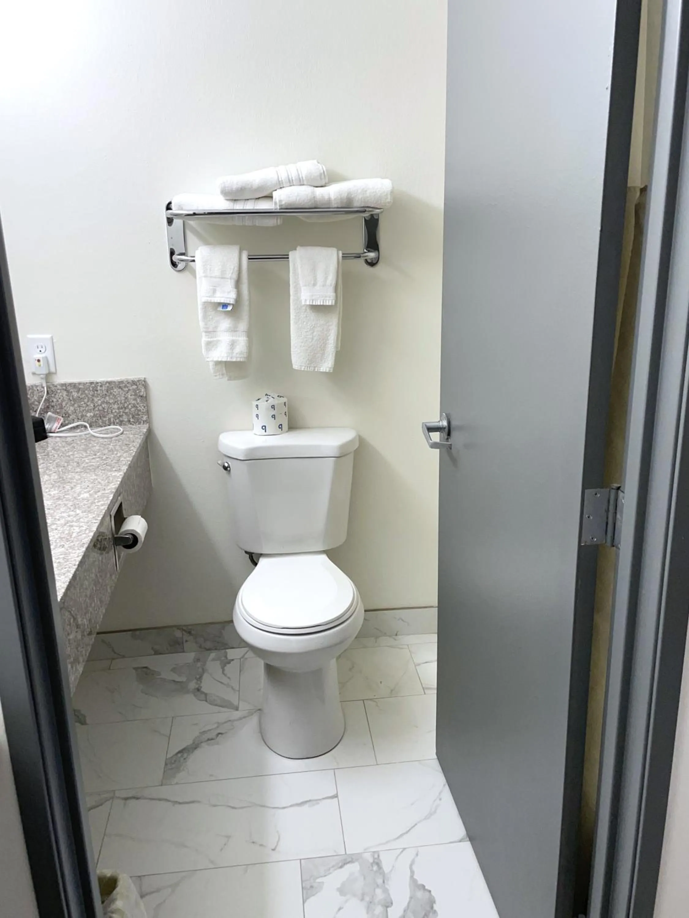 Toilet in Ramada by Wyndham Waupaca