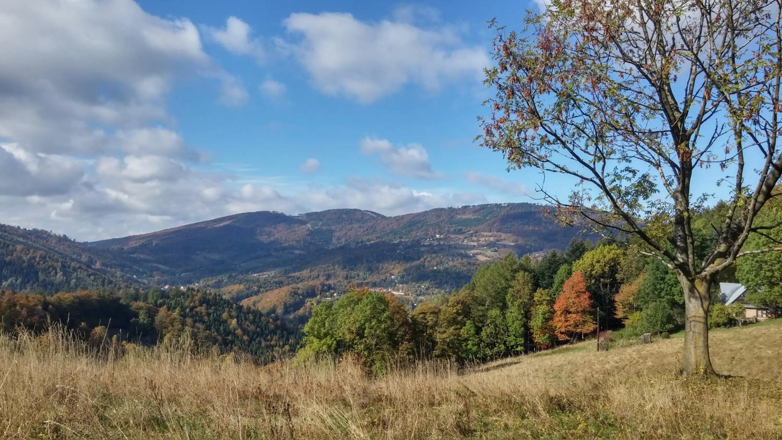 Hiking in Pod Klimczokiem I