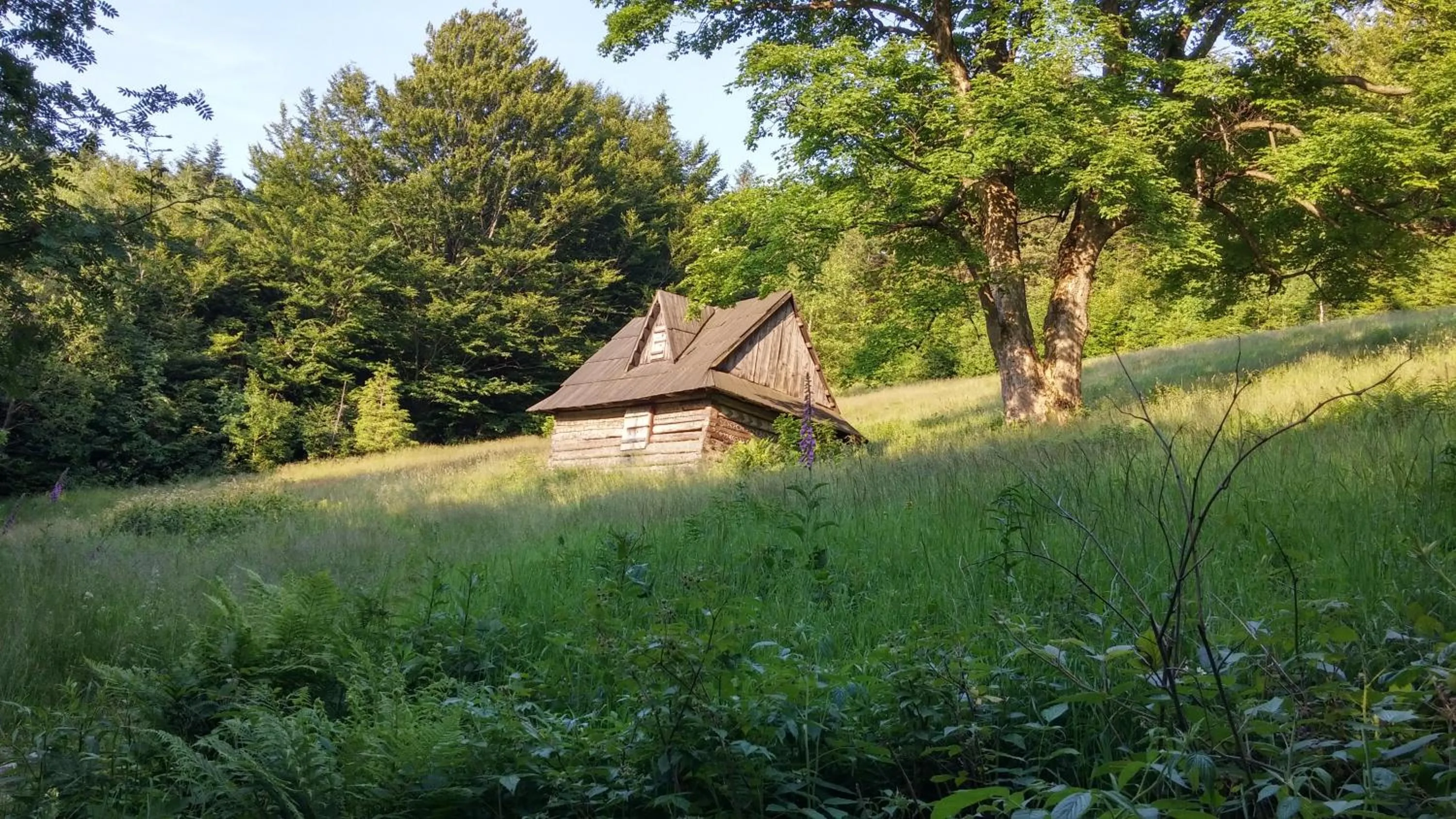 Off site in Pod Klimczokiem I