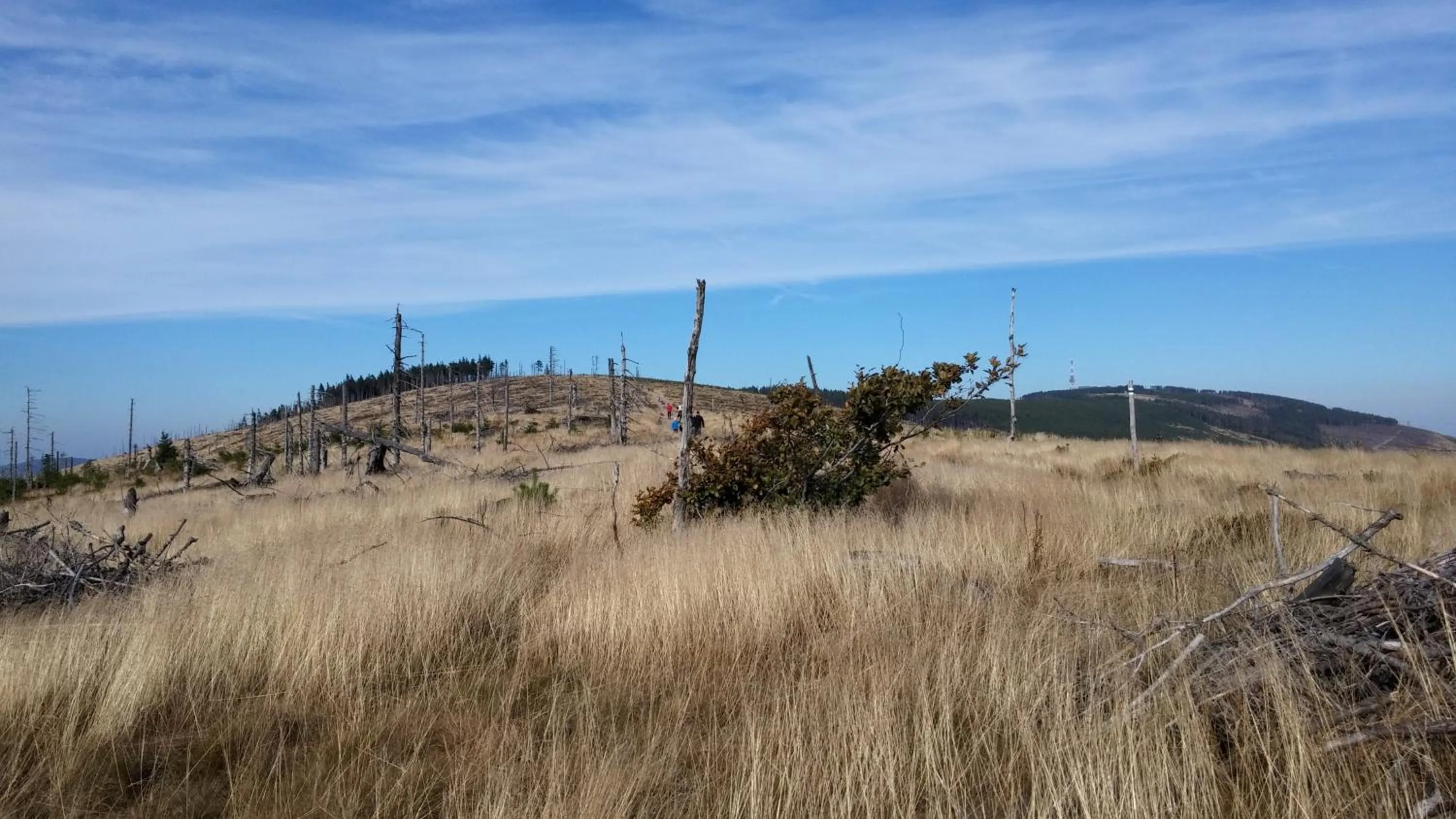 Off site in Pod Klimczokiem I