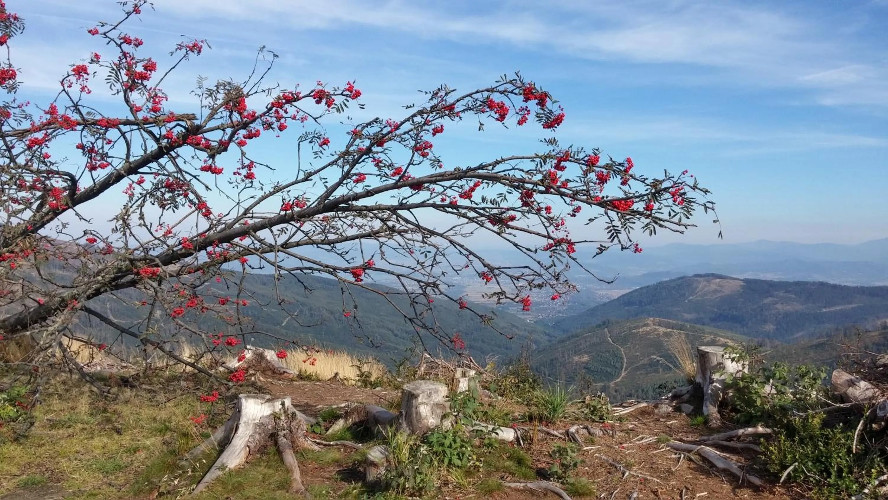 Off site in Pod Klimczokiem I