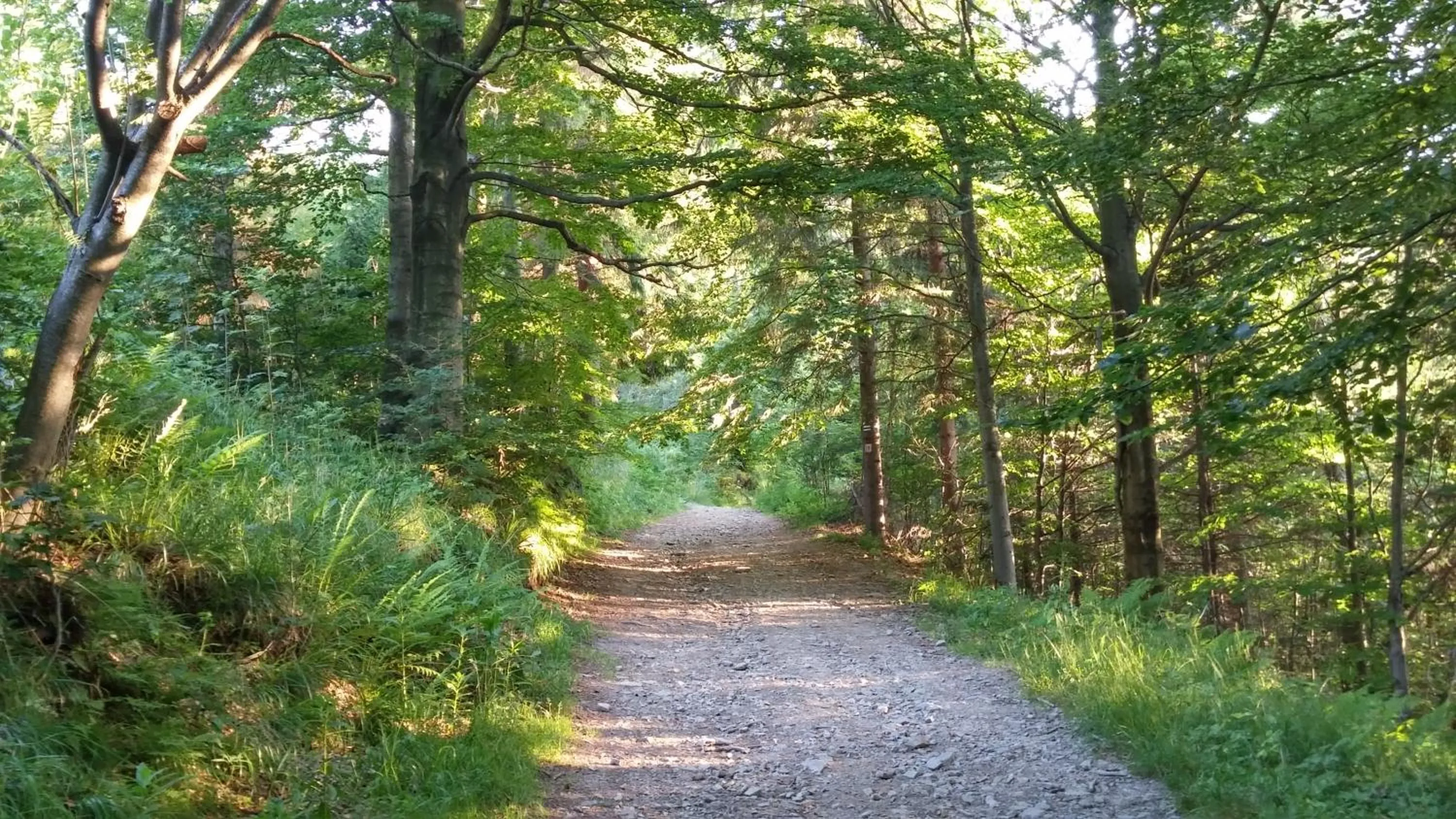 Off site in Pod Klimczokiem I