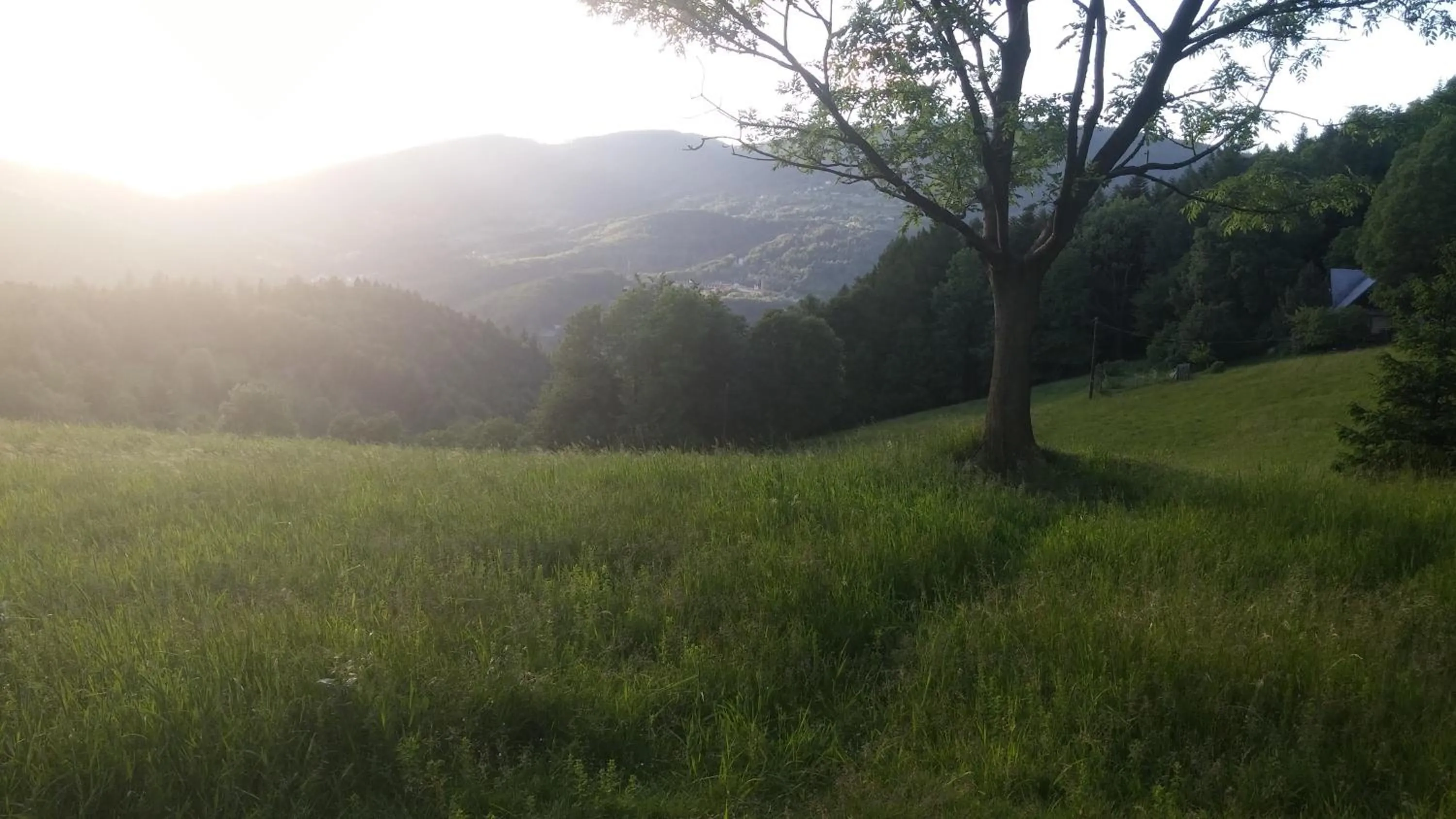 Off site in Pod Klimczokiem I