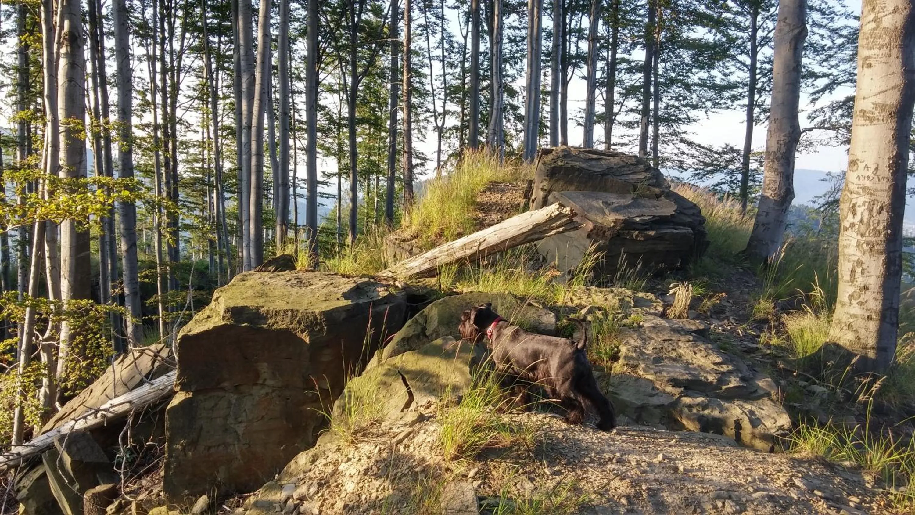 Off site in Pod Klimczokiem I