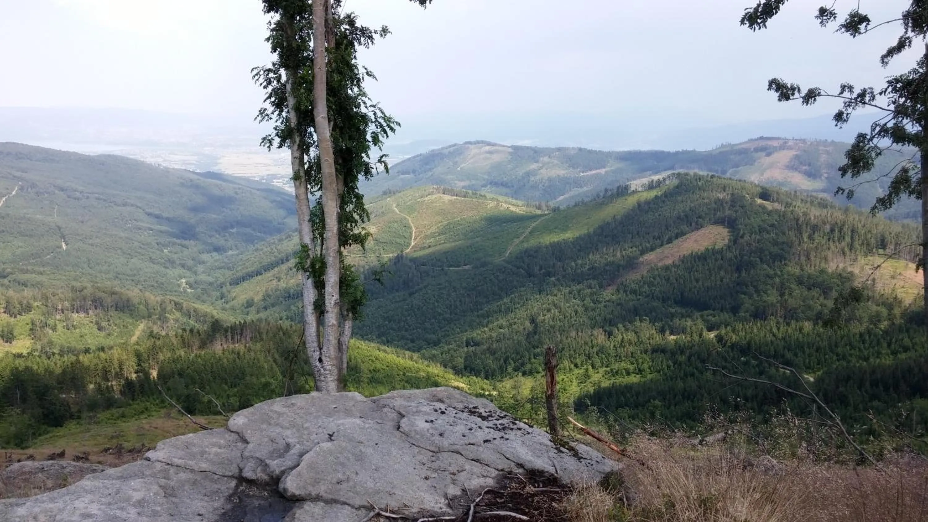 Hiking in Pod Klimczokiem I