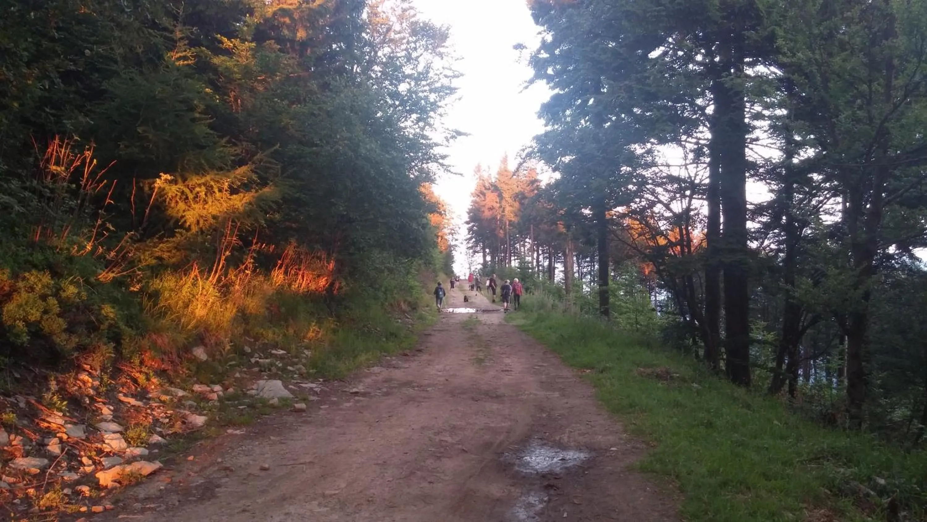 Off site in Pod Klimczokiem I