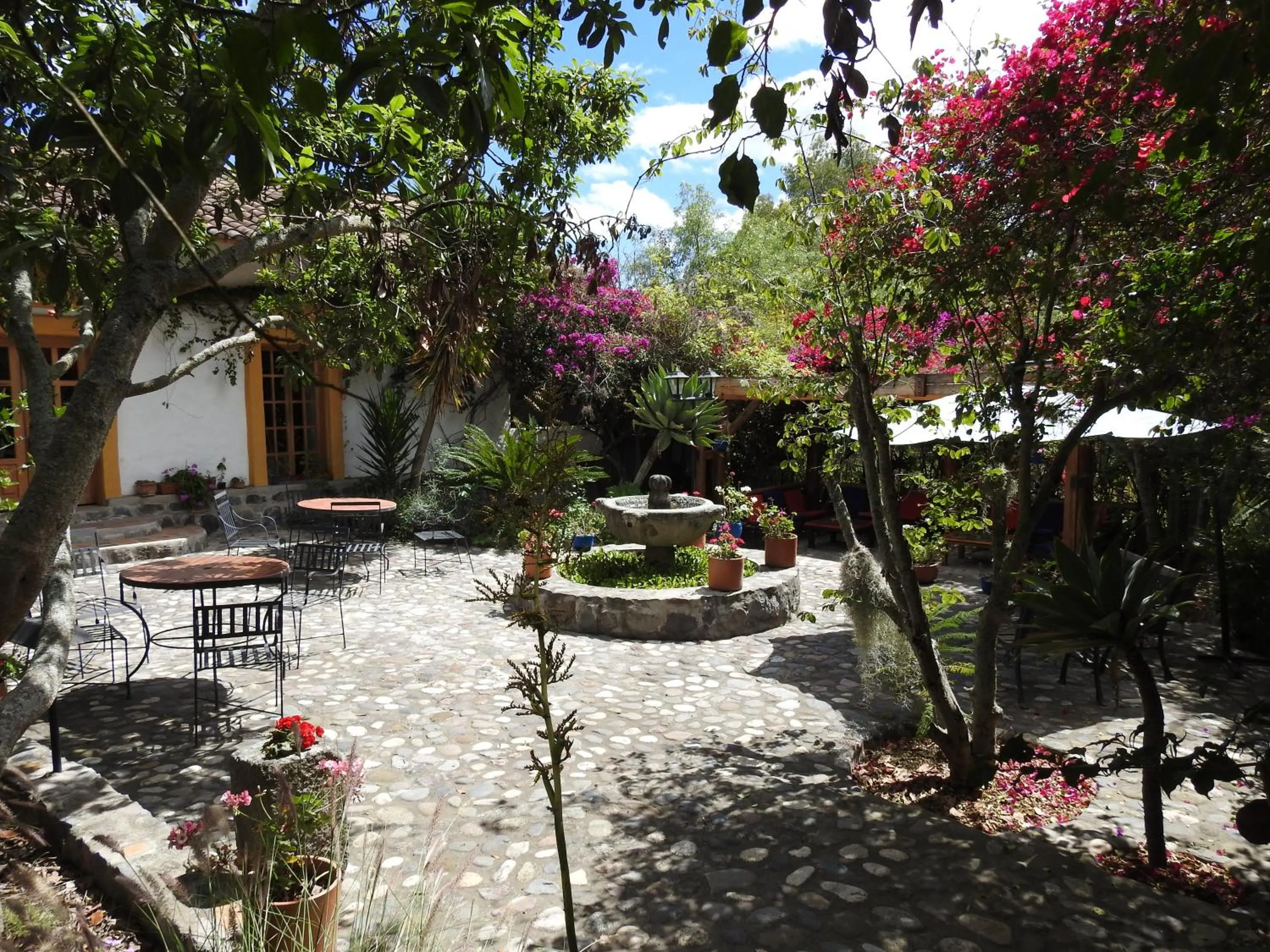 Property building in Hosteria Museart Pantavi