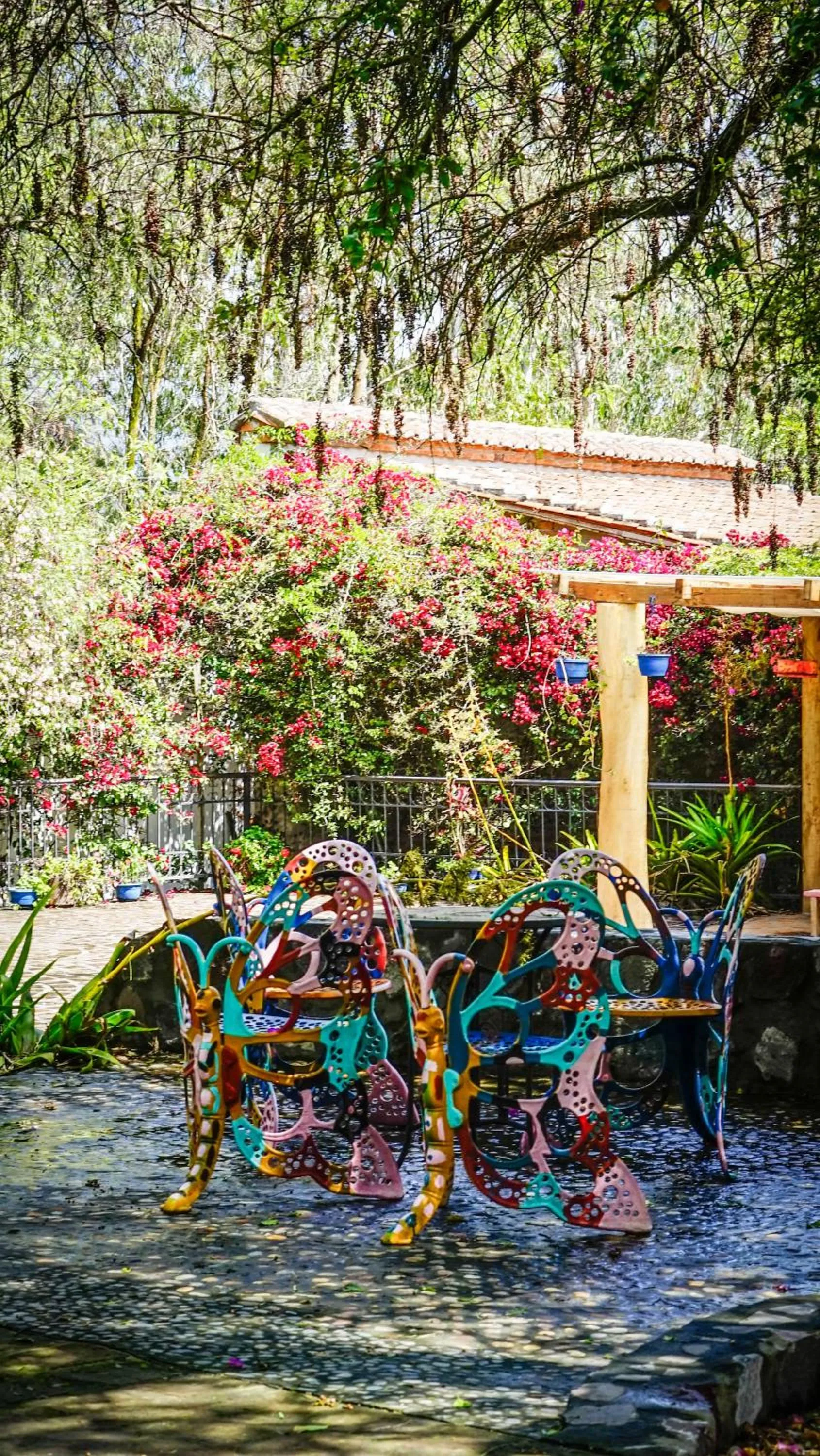 Garden in Hosteria Museart Pantavi