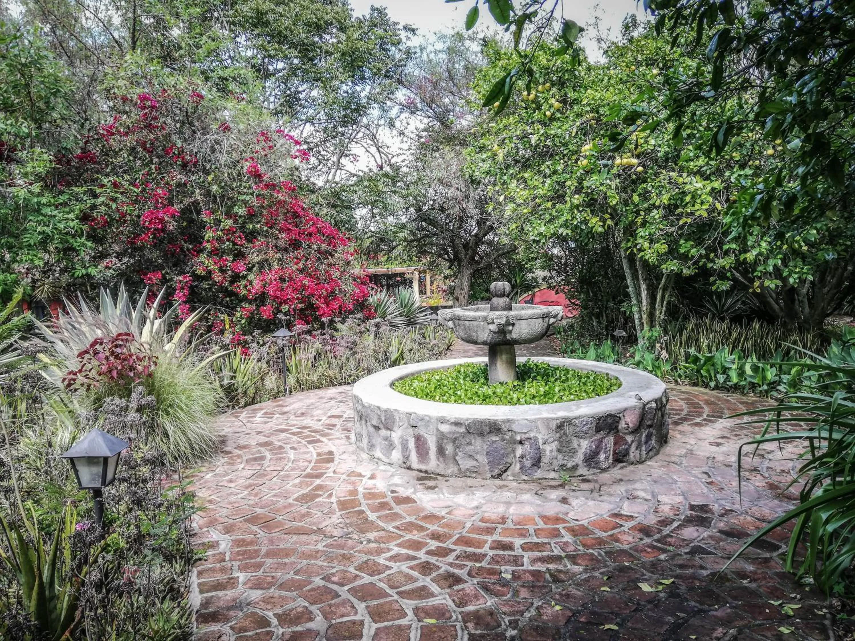 Hosteria Museart Pantavi