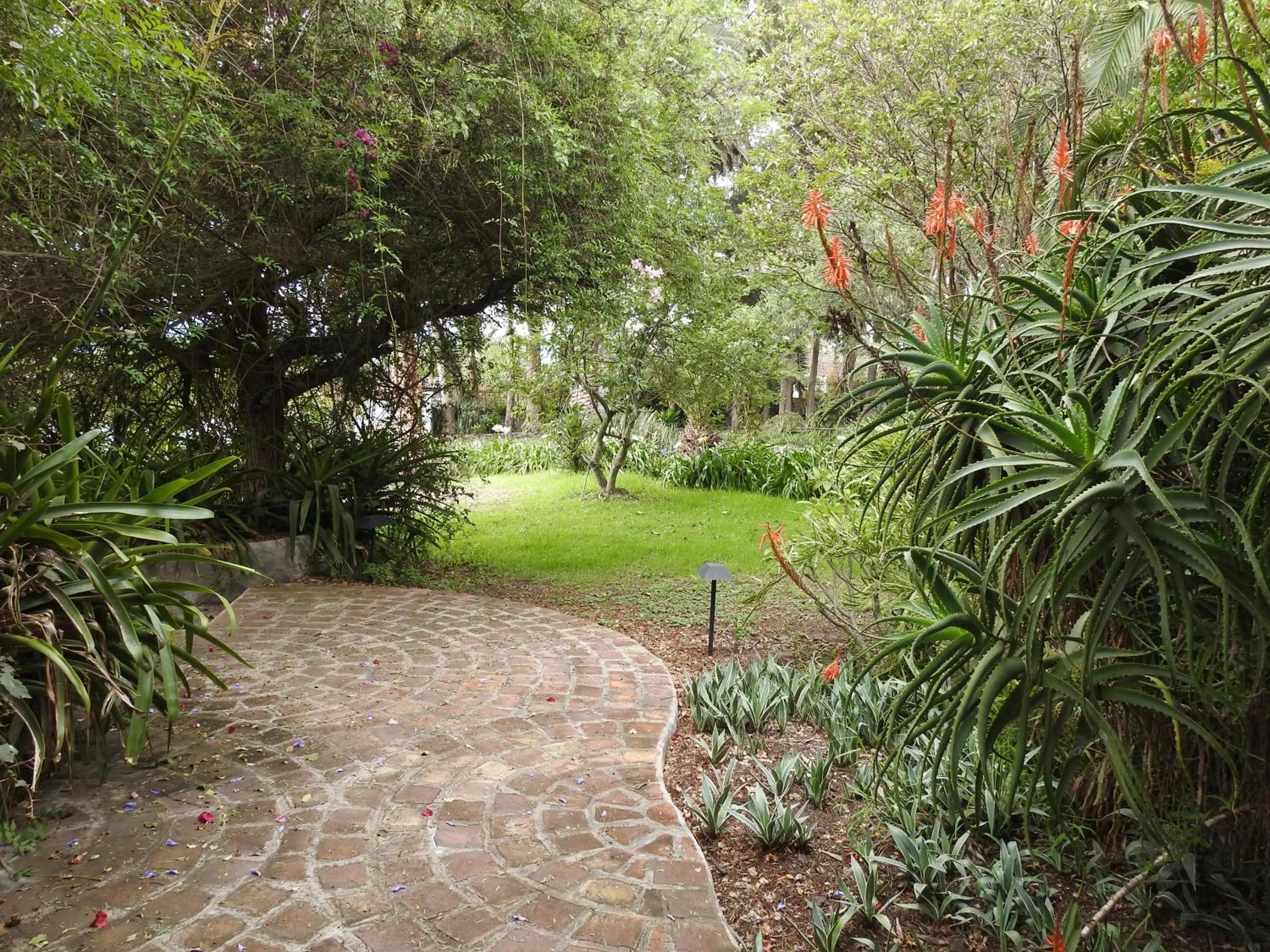 Property building in Hosteria Museart Pantavi