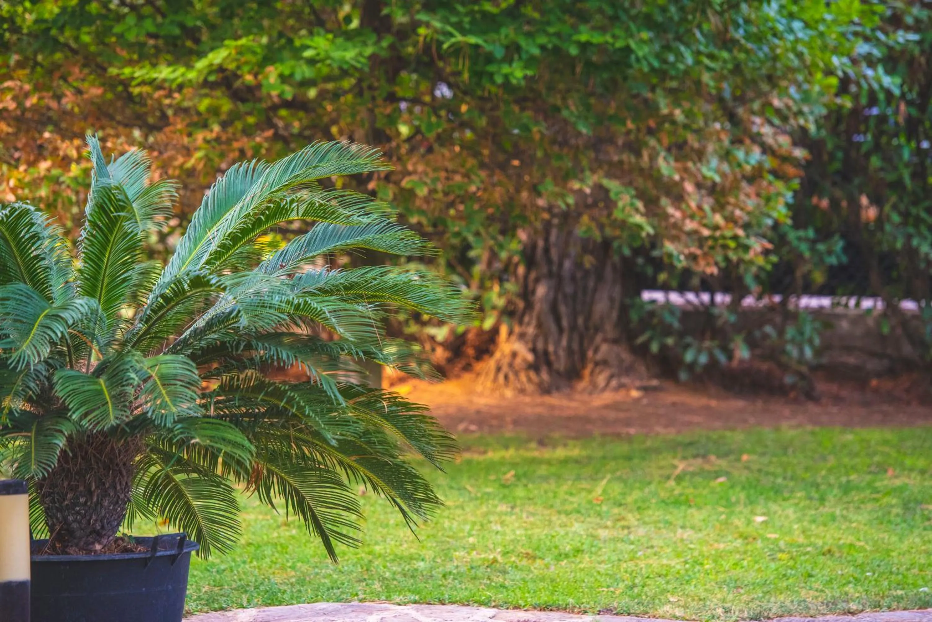 Garden in B&B Il Girasole