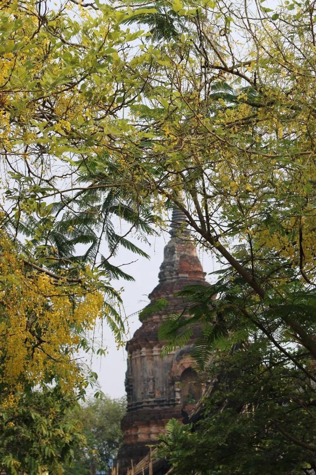 Nearby landmark in Icon Park Hotel, Chiang Mai- SHA Extra Plus